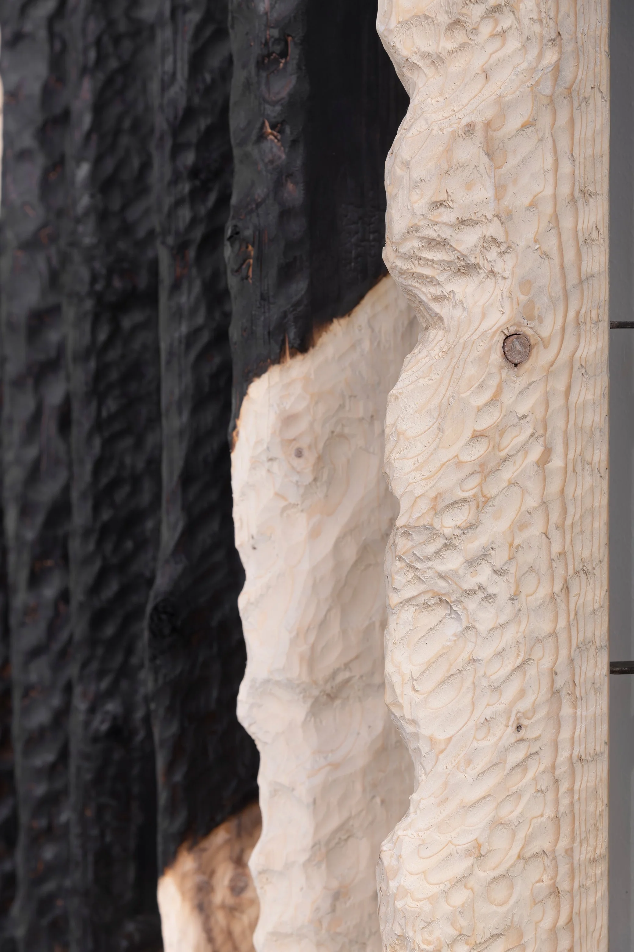 Close-up of a rough wooden surface showing a natural, textured light wood on the right side and dark charcoal-colored wood on the left side, with an uneven, rugged appearance.