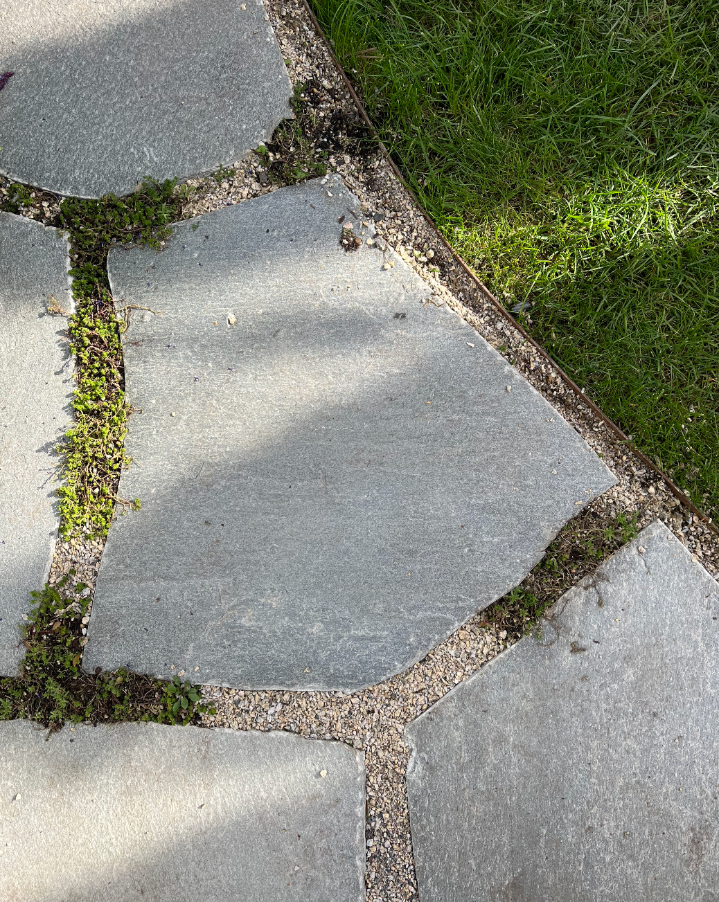 Close-up of a stone pathway with green grass alongside, showing weeds and small plants growing in the gaps between the stones.