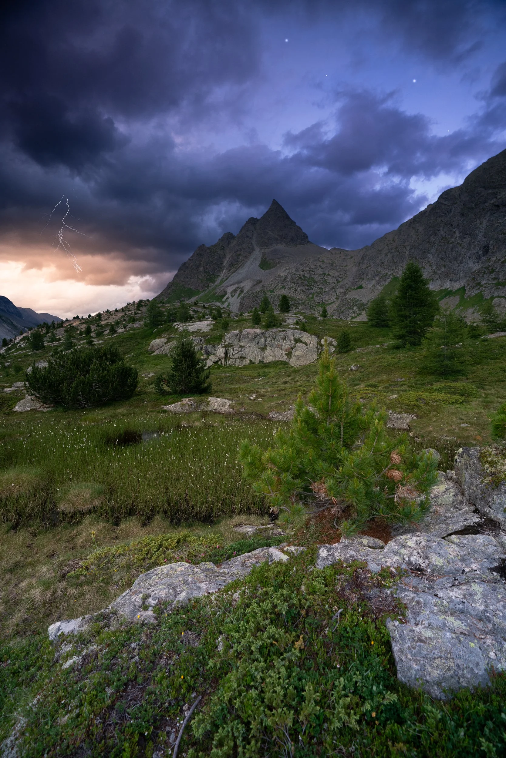 DSC07803-Bearbeitet-2.jpg