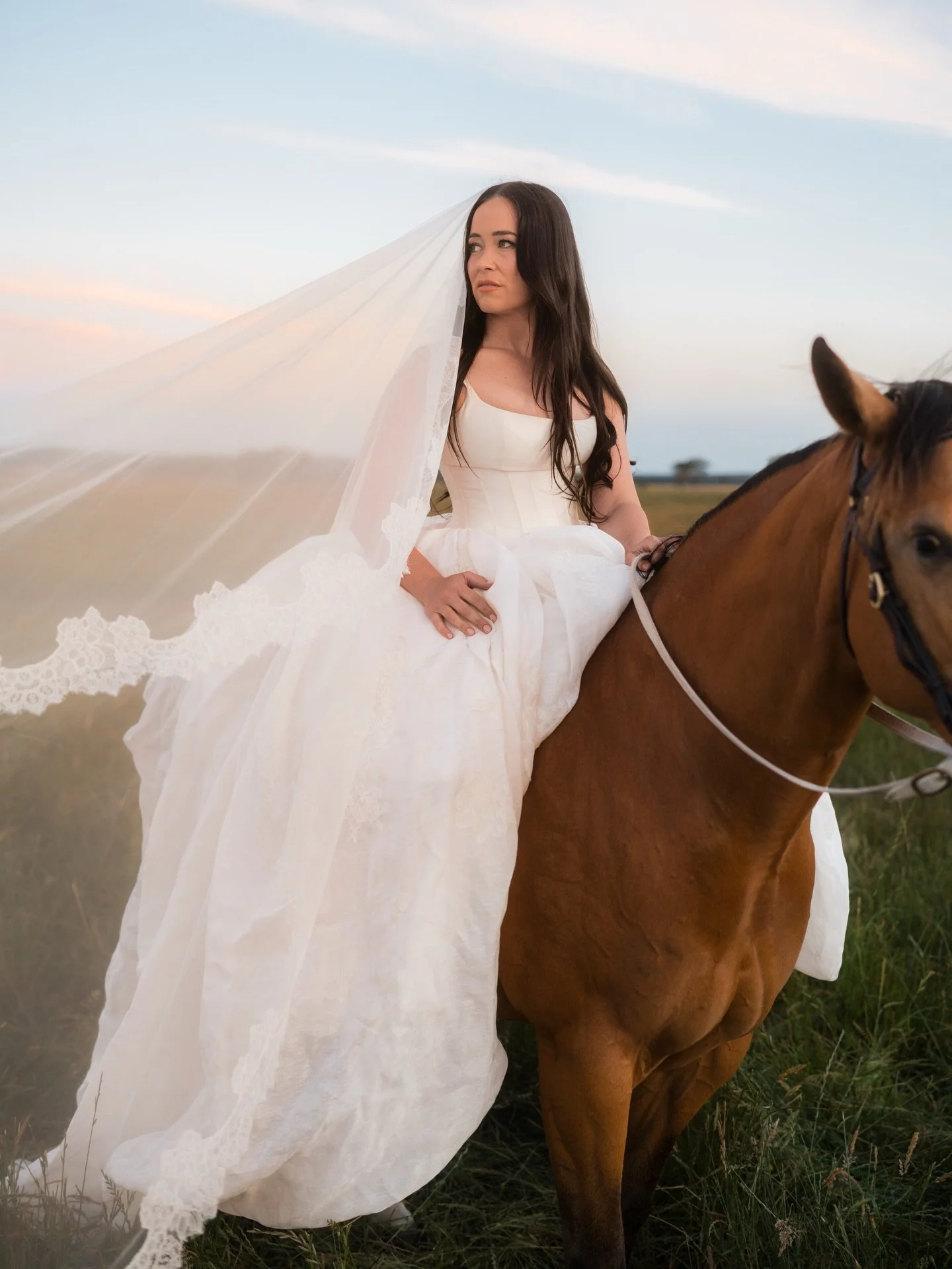 Is there anything dreamier than Kady wearing this gorgeous @bloom_australia_ dress riding a buckskin!

Photography - @weddings_byjack
Video - @kimberleymooremedia 
Dress - @bloom_australia_ 
Hair - @styled_bygeorgia 
MUA - @pollypleban.artistry 

#co