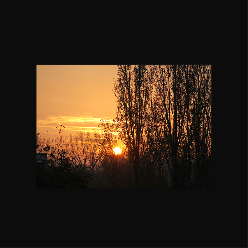 postcard_10.png