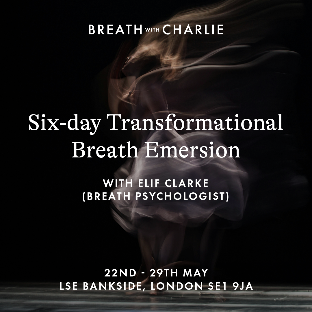 Transformational Breath ® Seminar Course (Levels 1,2,3)