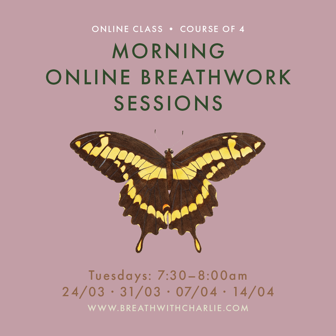 Online Class: Morning Online Breathwork sessions x 4