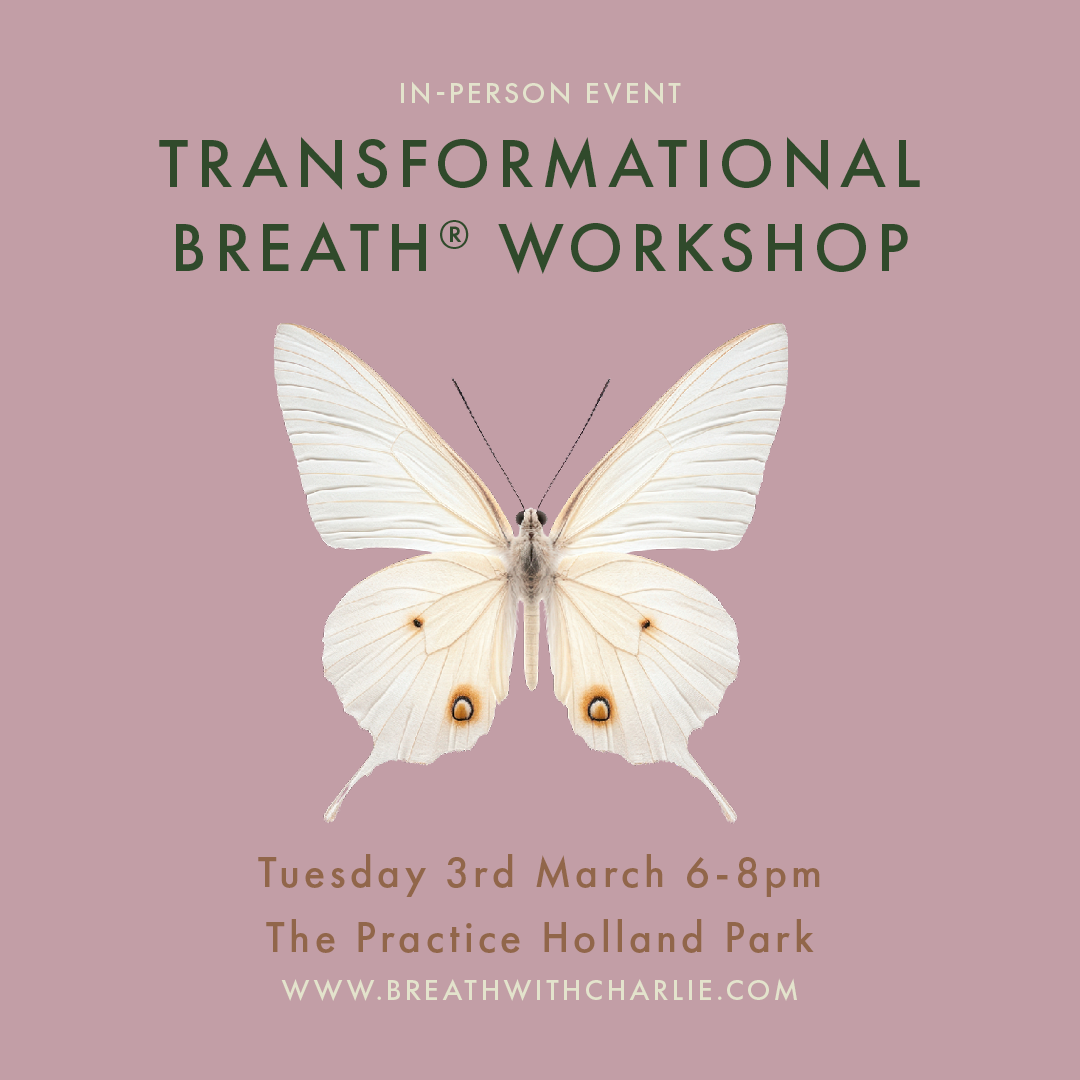 In-Person Event: Transformational Breathing Workshop 3 March 2026