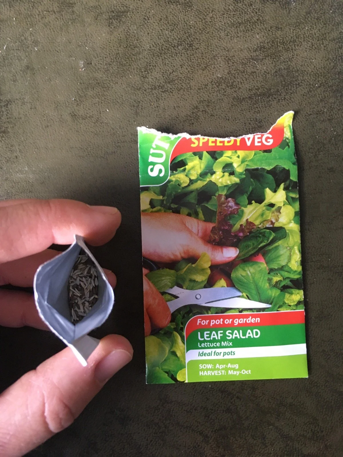 planter 8.jpeg