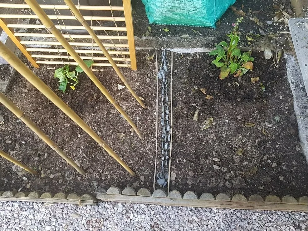 veg patch.jpeg