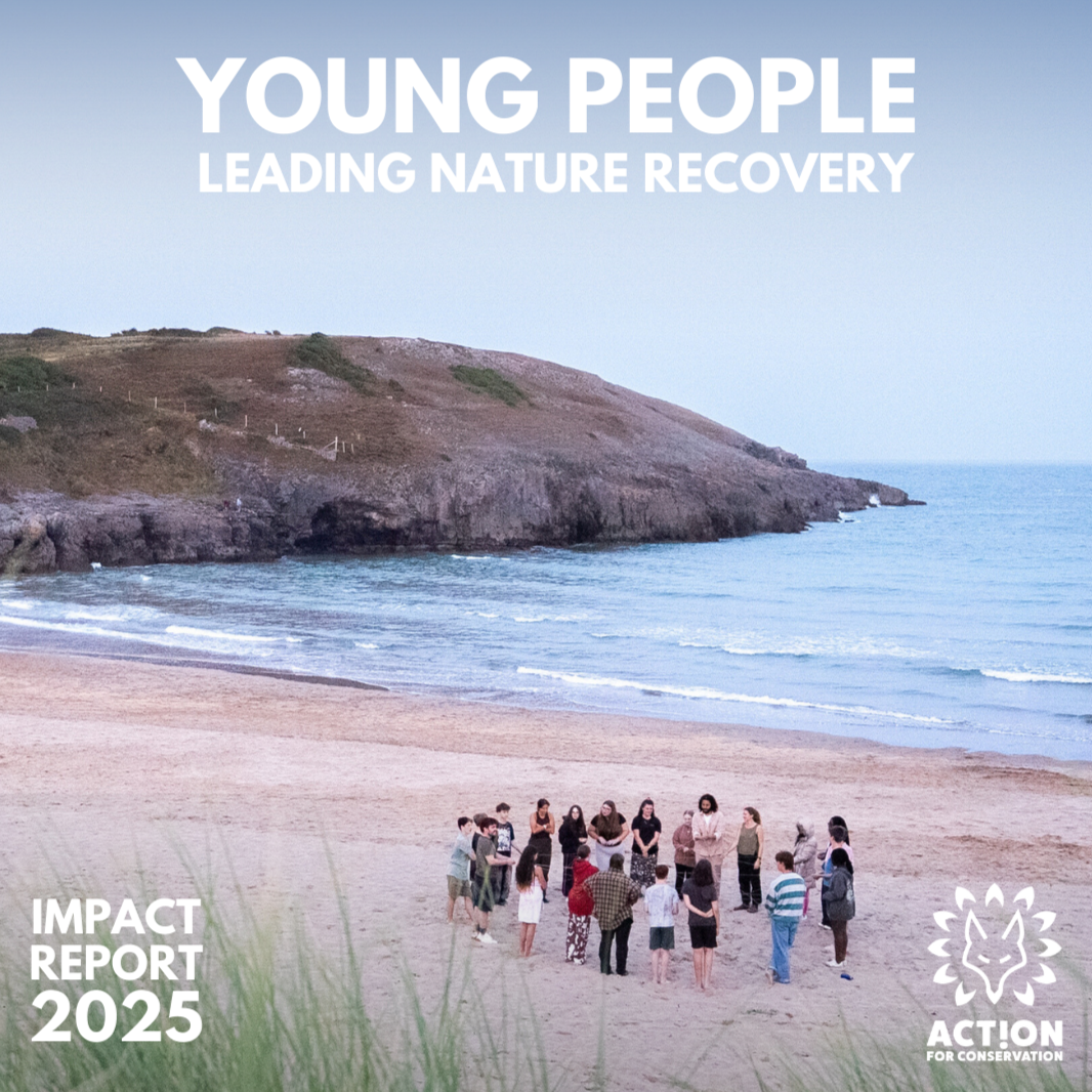 Young People Leading Nature Recovery - Impact Report 2025