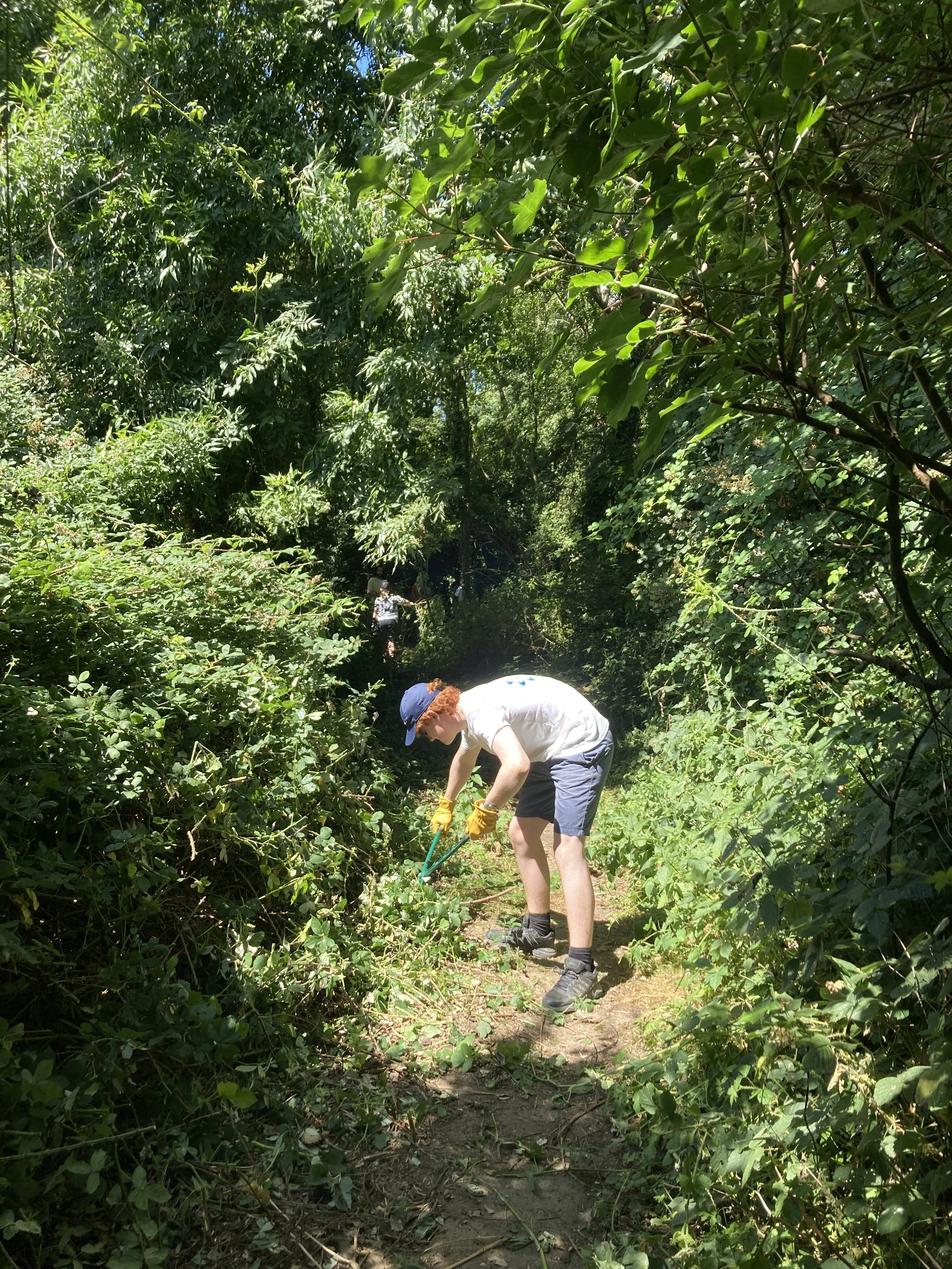 My Work Experience at Knepp