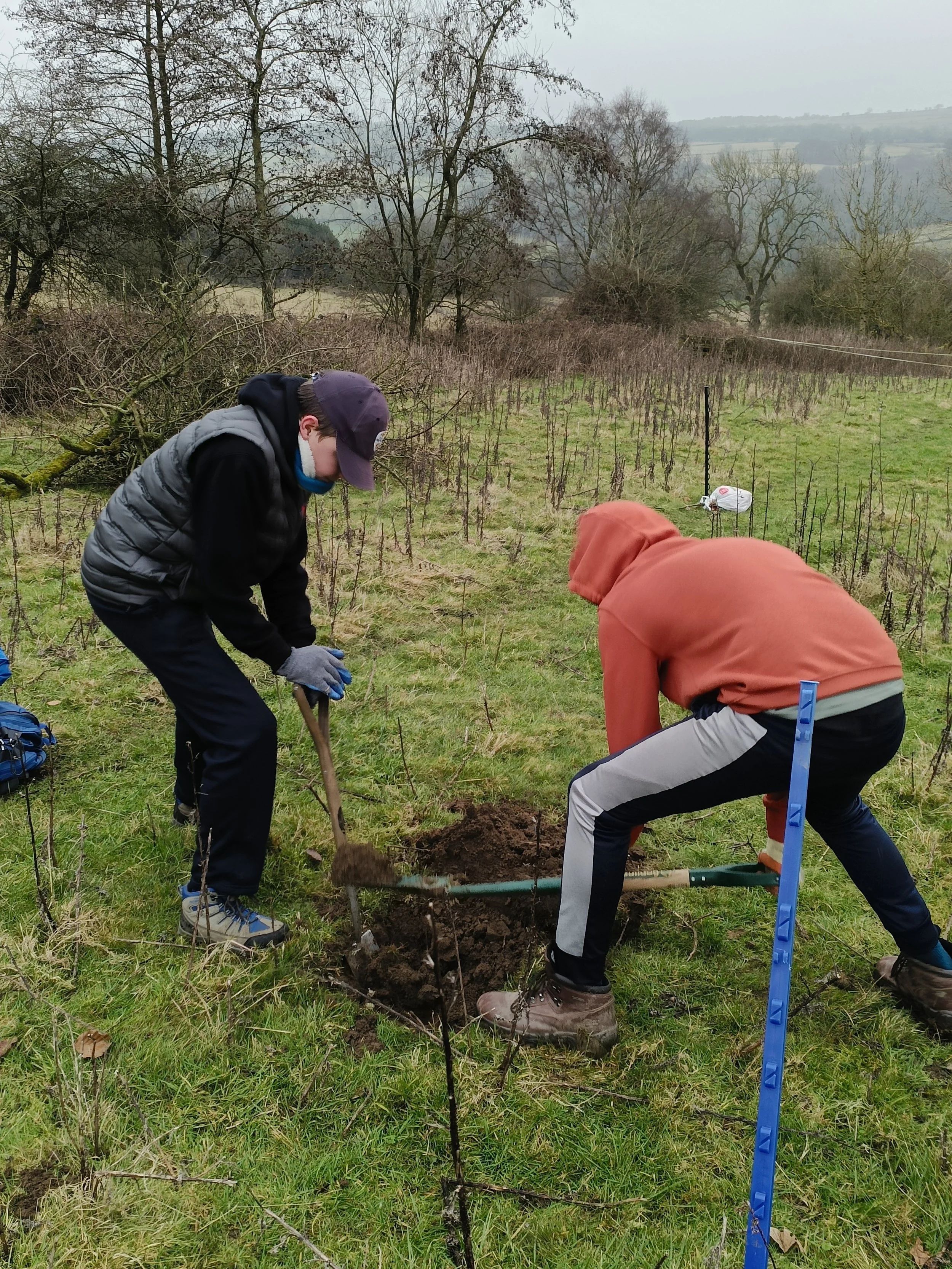 Junior Rangers, tree planting, Jan 25 4, Gabby Shields.jpg