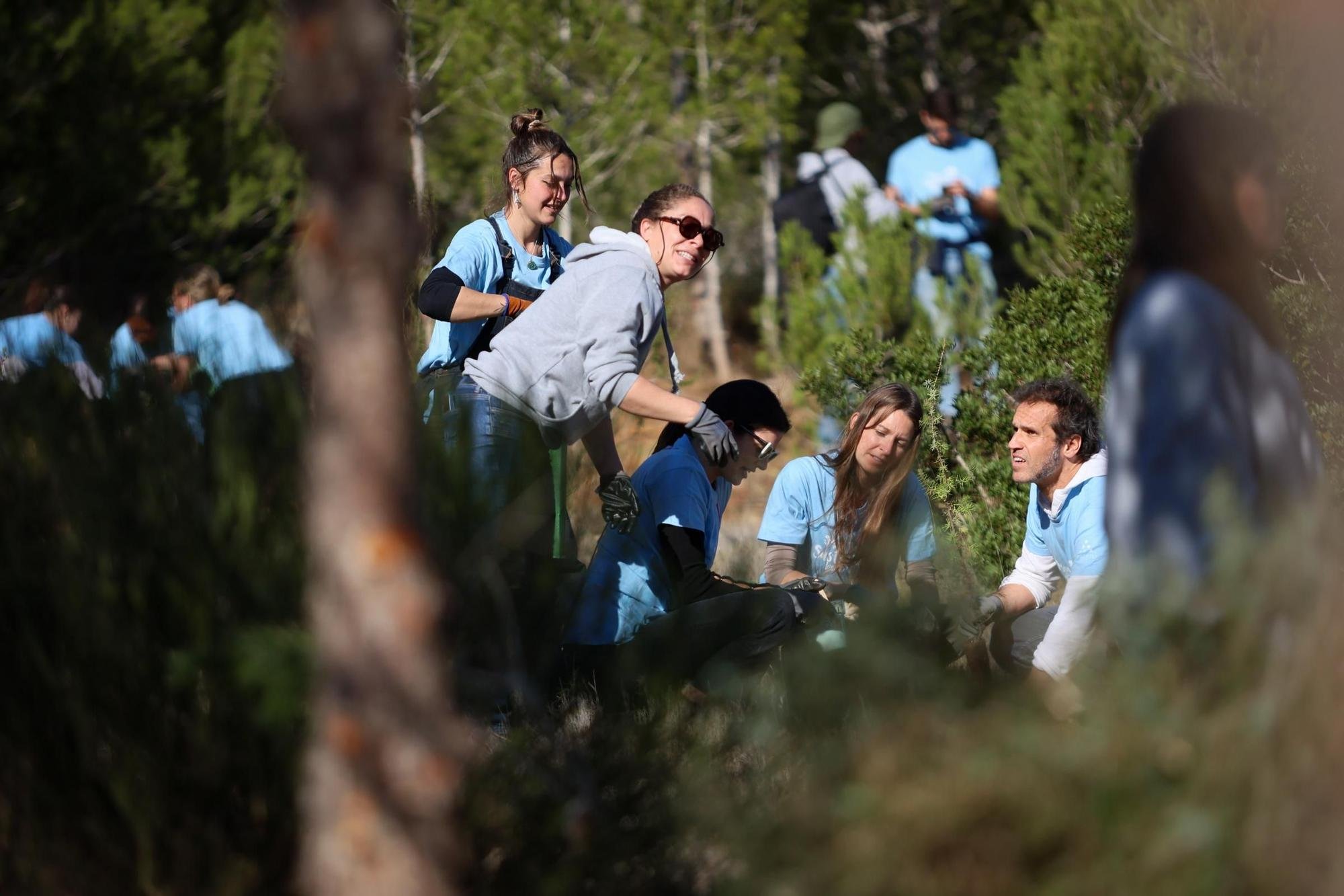 DIARIO DE IBIZA_REGENERA NATURA_32.jpeg