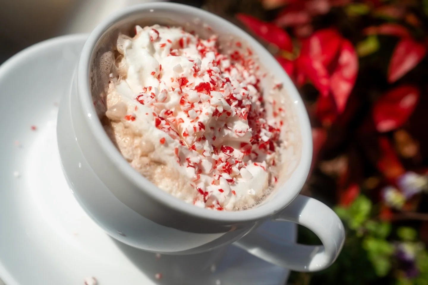 That&rsquo;s a wrap on Christmas! The elves are off duty and so should you be. Come sip our Elves Day Off to celebrate!🎄