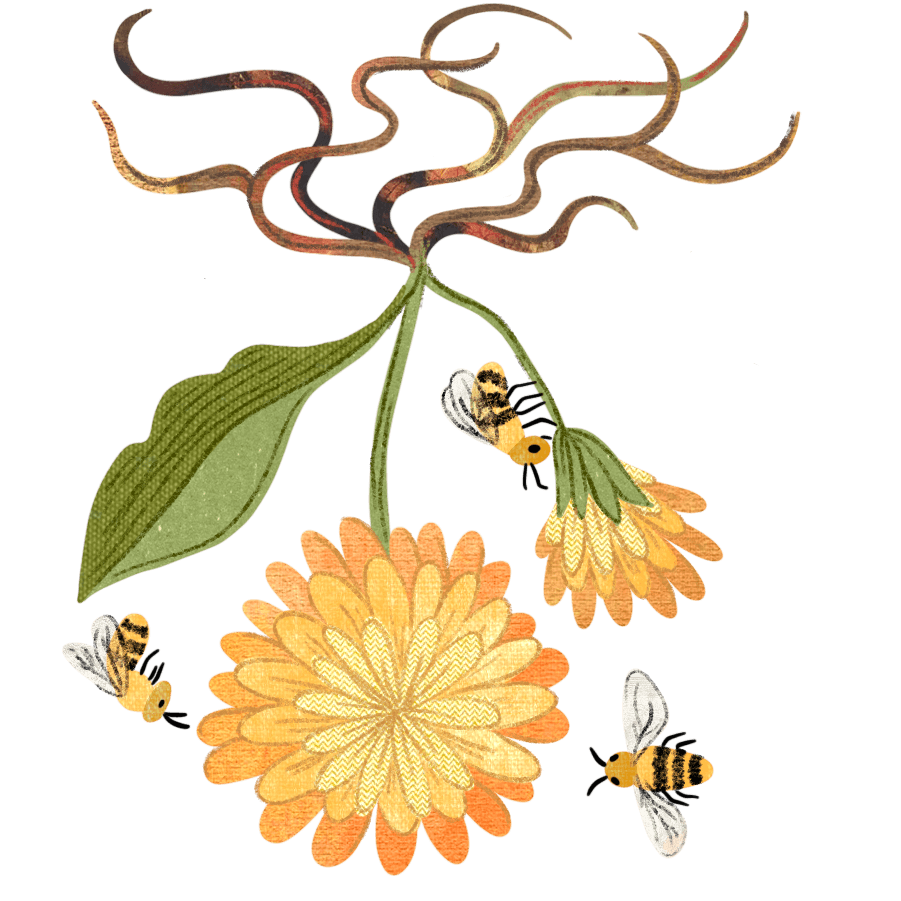 illustration of bees on a yellow flower