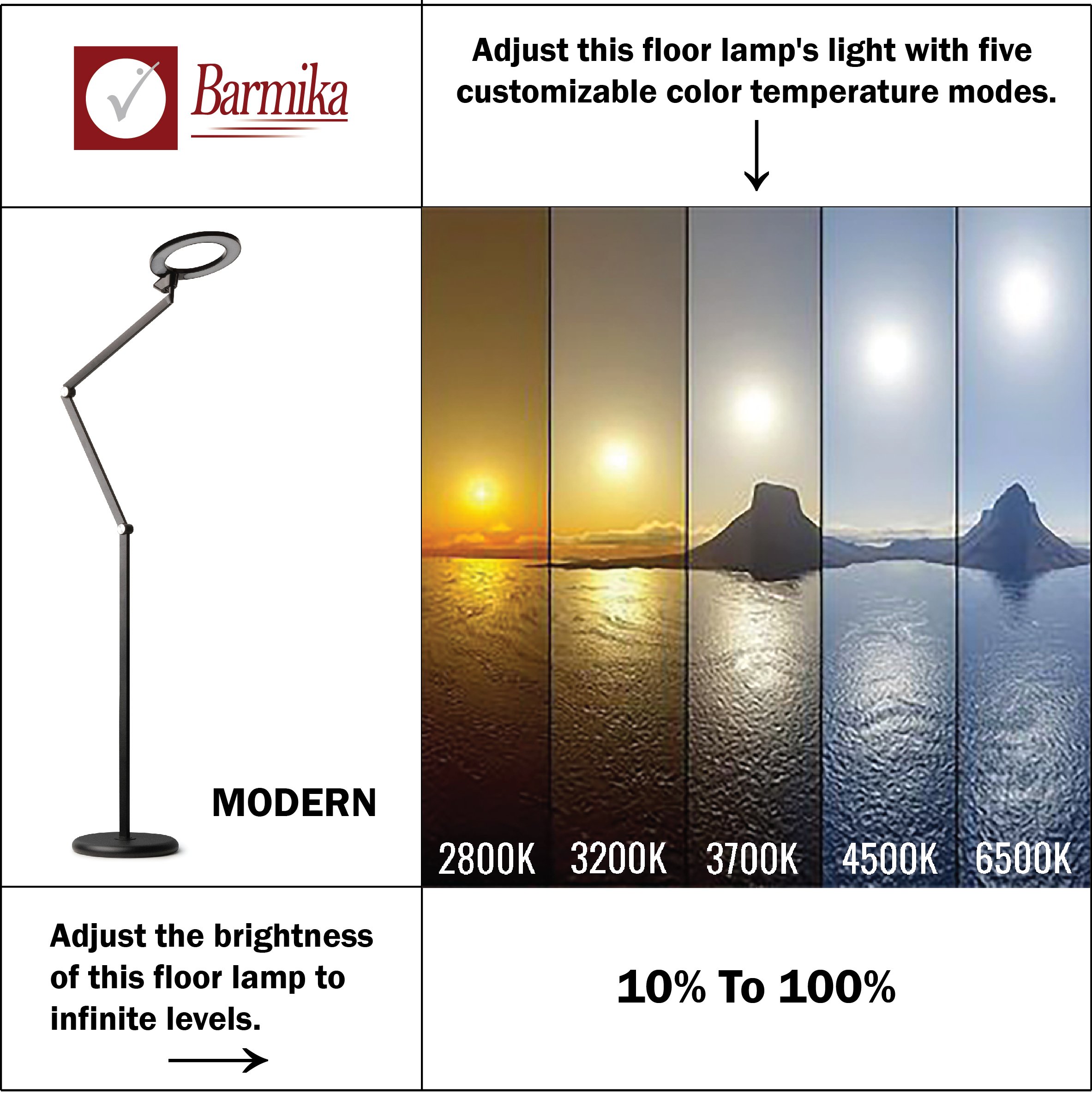 Barmika MODERN LED floor lamp with sleek design, featuring infinite brightness levels and five customizable color temperature modes