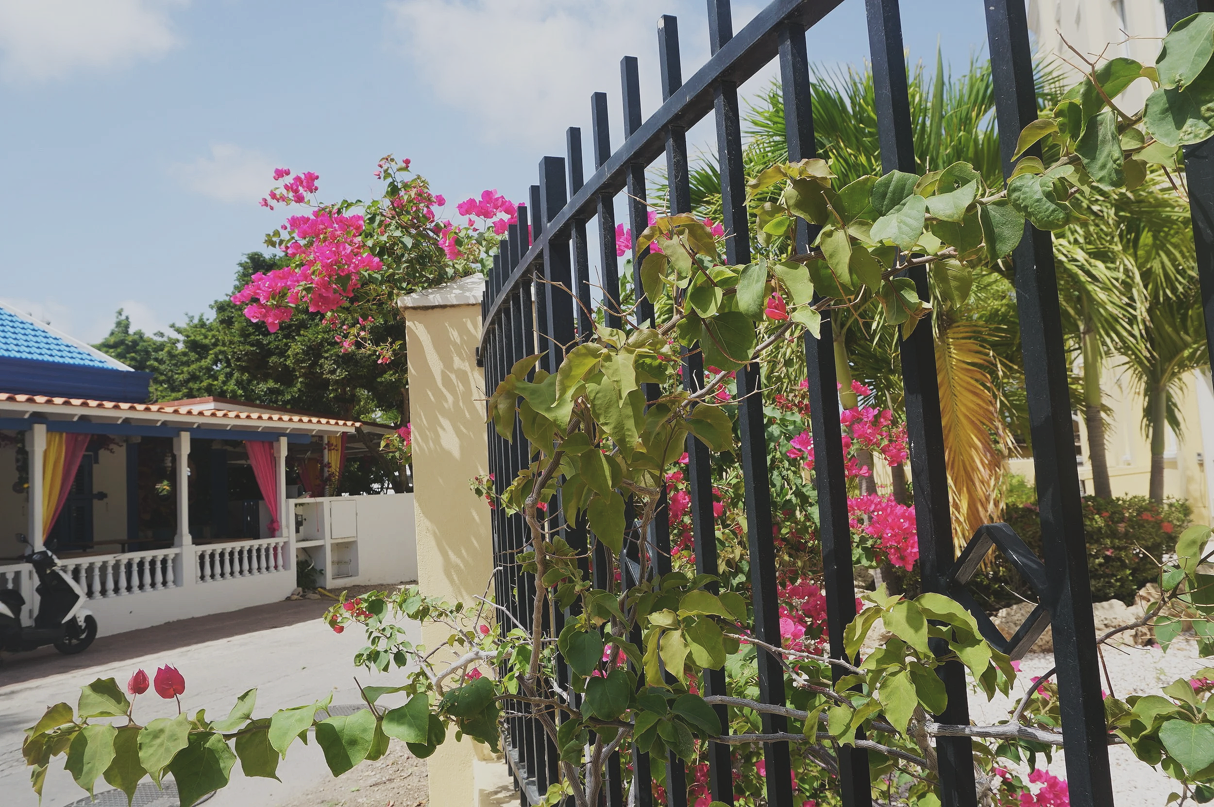Bonaire