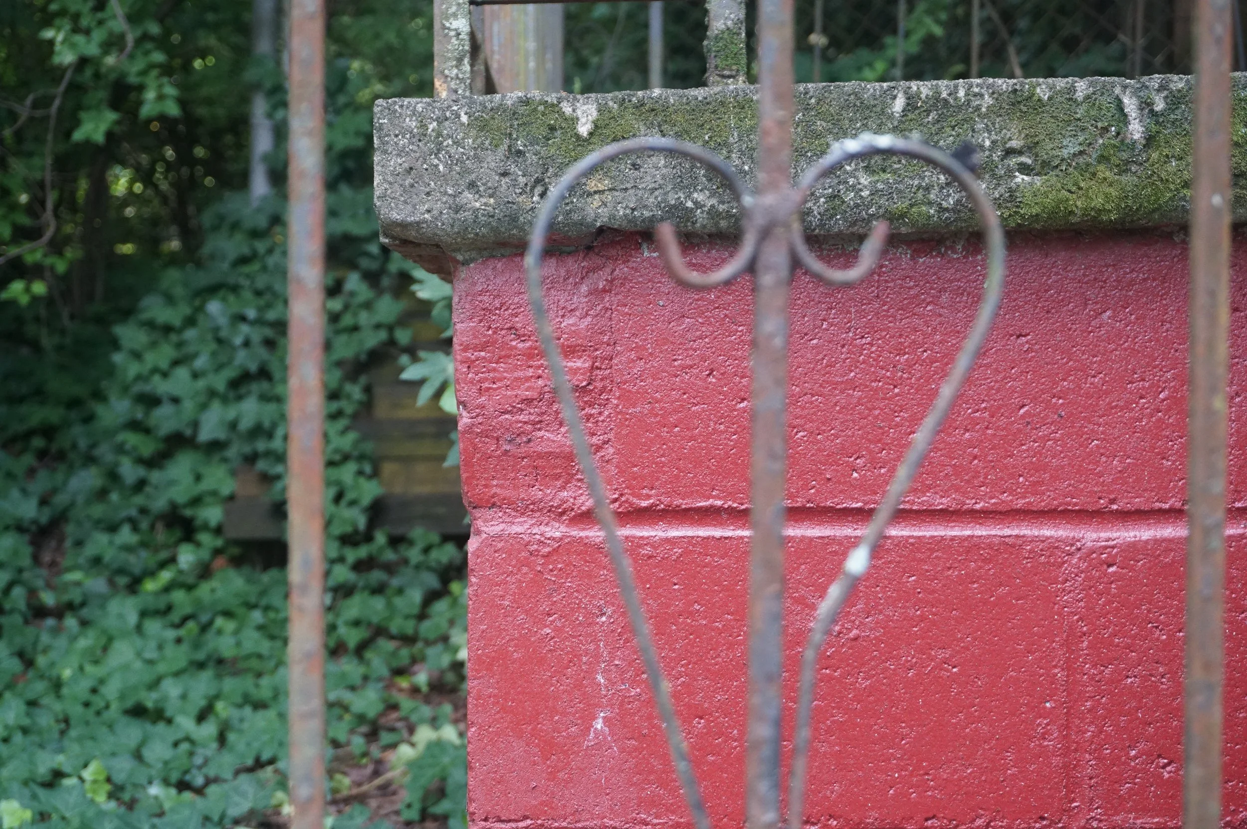 DSC09222.JPG