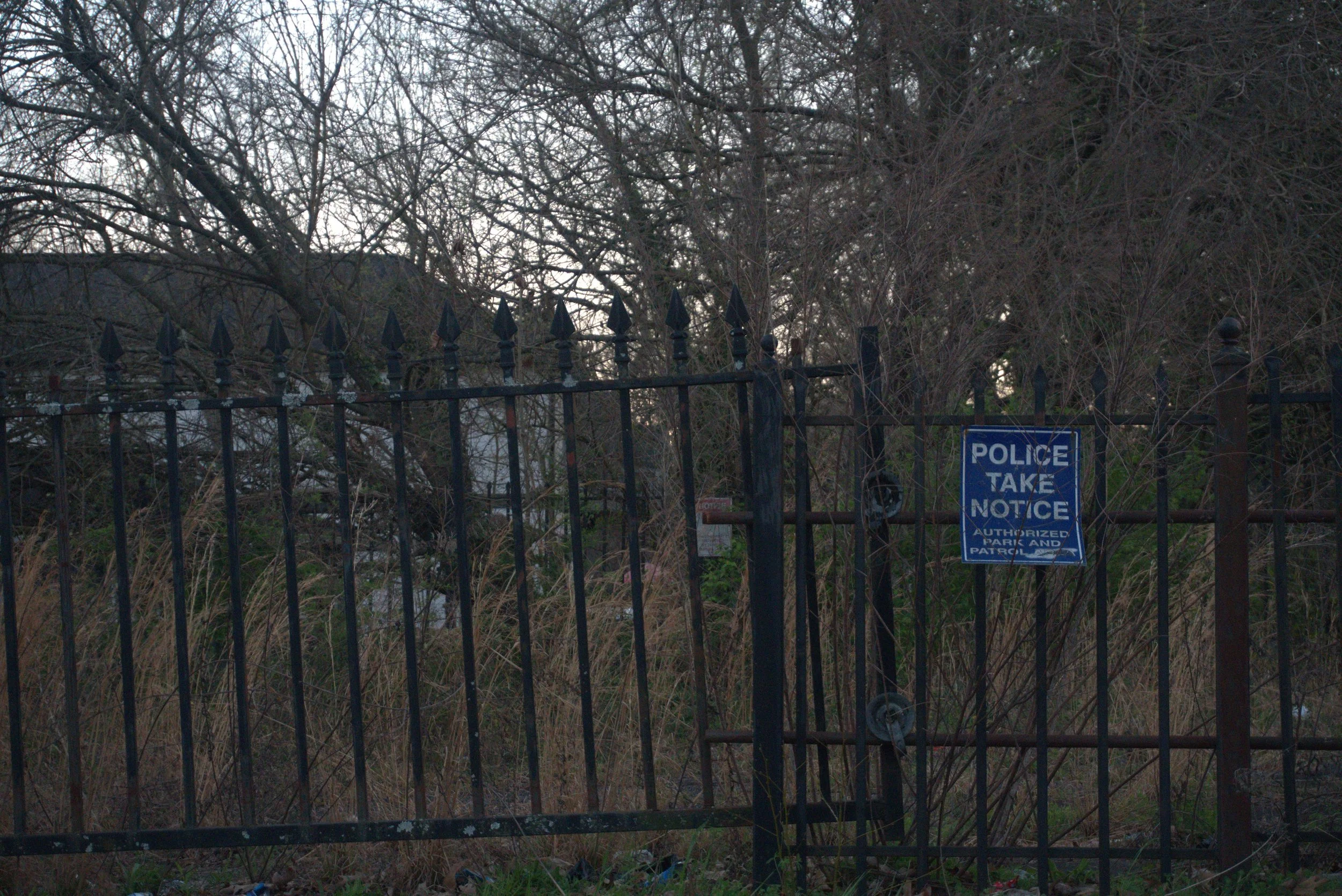 DSC06280.jpg