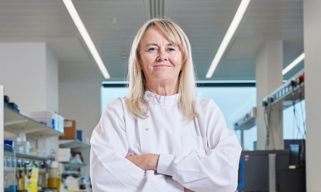 Related Video Item Thumbnail