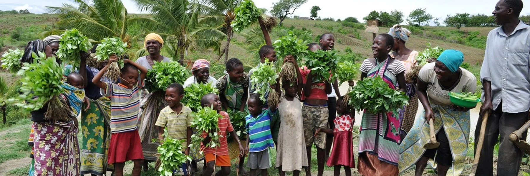 Feeding-Families-.jpg