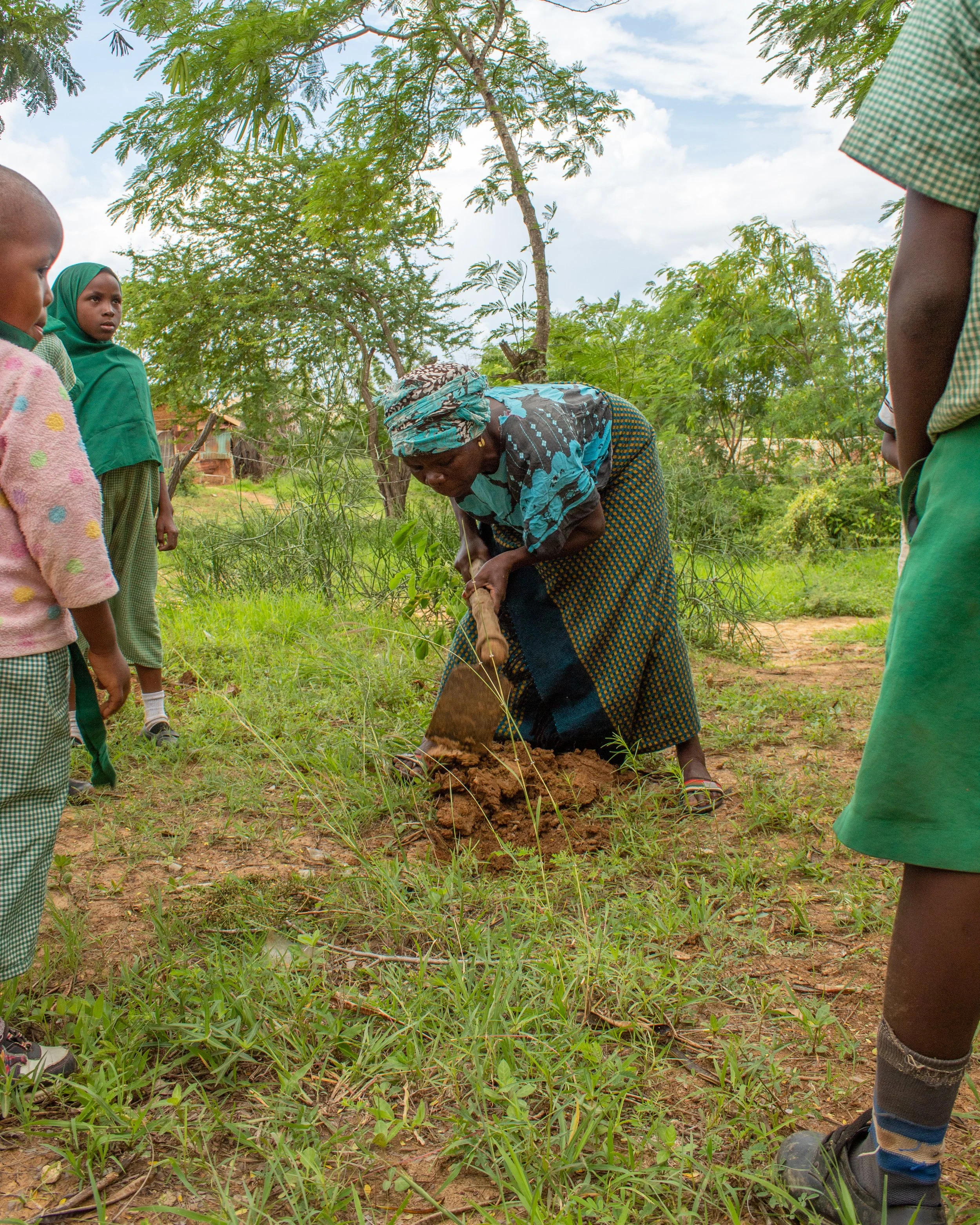 2025 Wrapped: The Haller Foundation&nbsp;