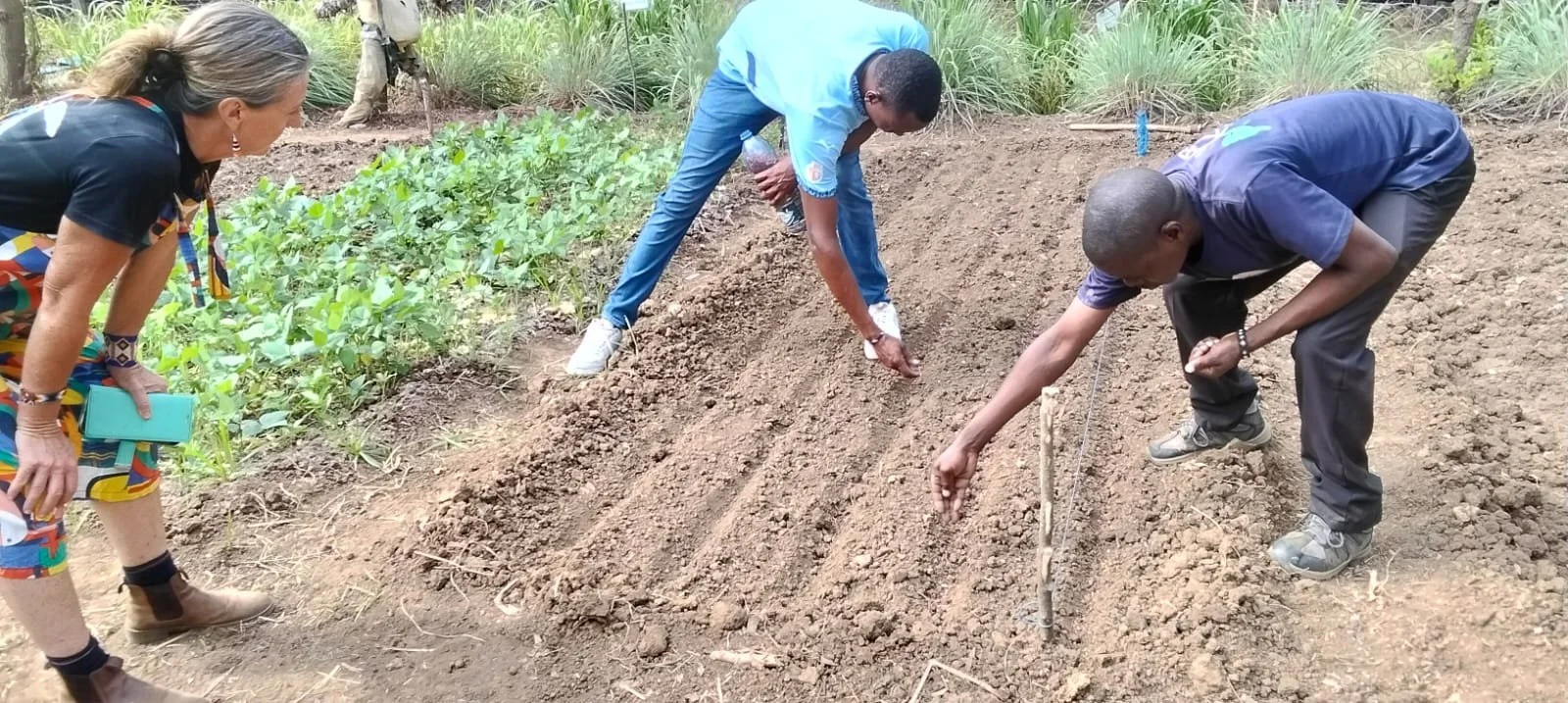 Haller and Harvest Food Forest: Training Community Experts to Build Resilient Futures