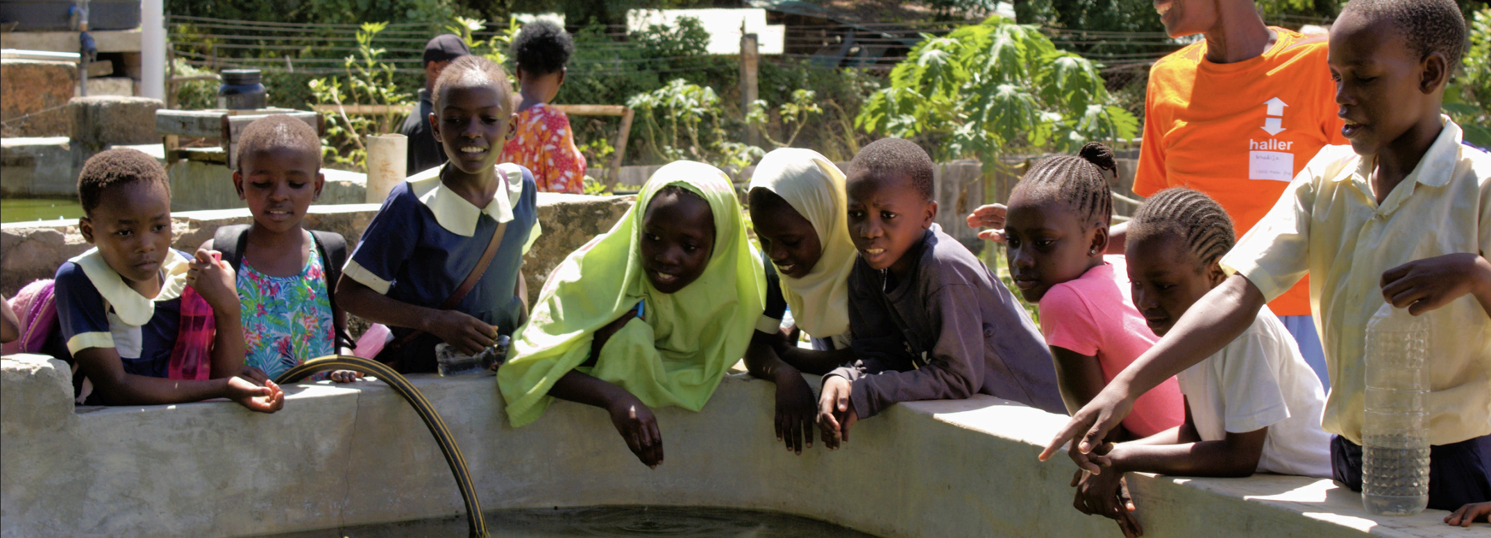 Haller Impact Report 2025