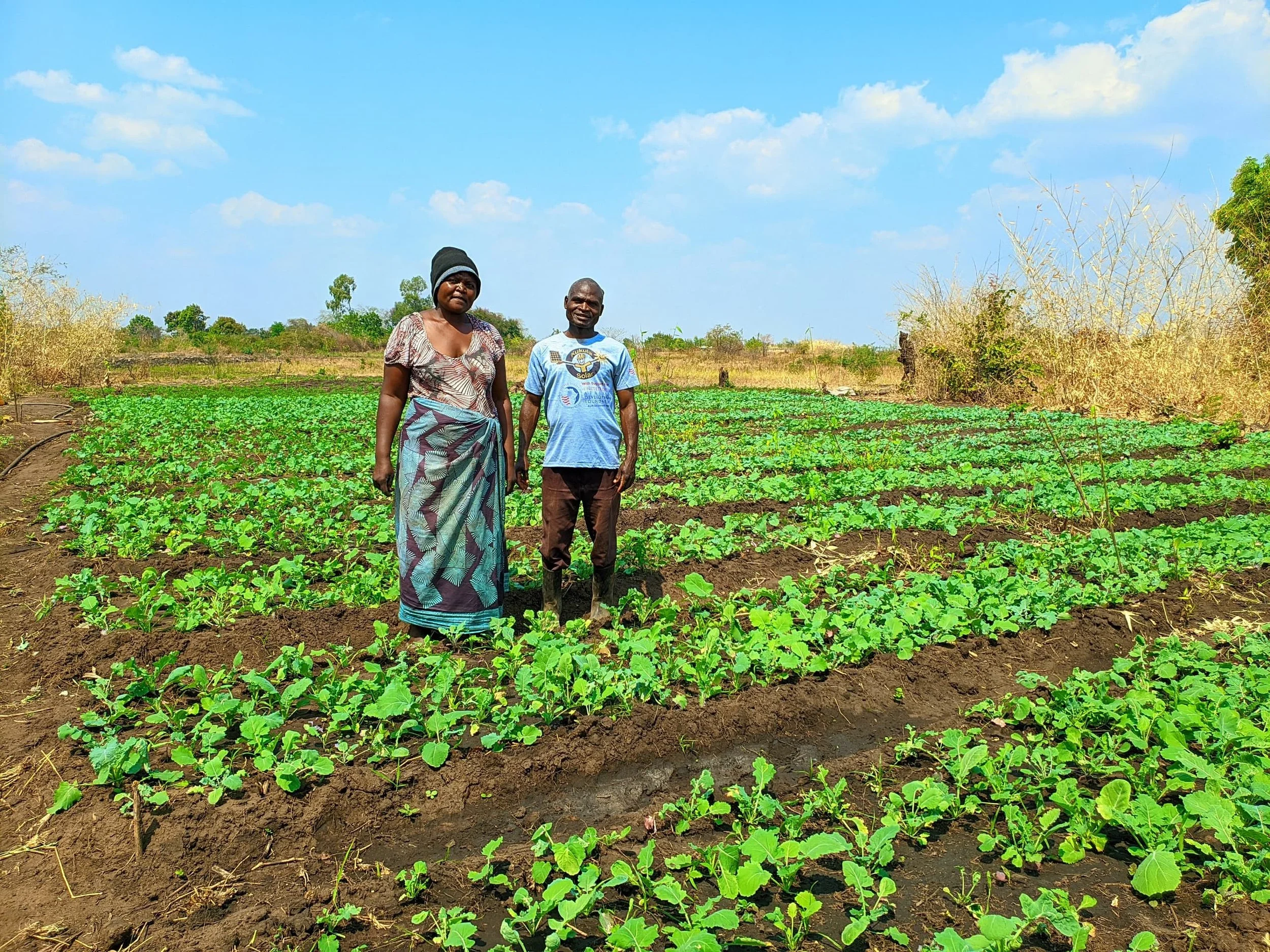 Haller to Support Regenerative Agriculture Projects Across Africa Through New Regen Trust Partnership