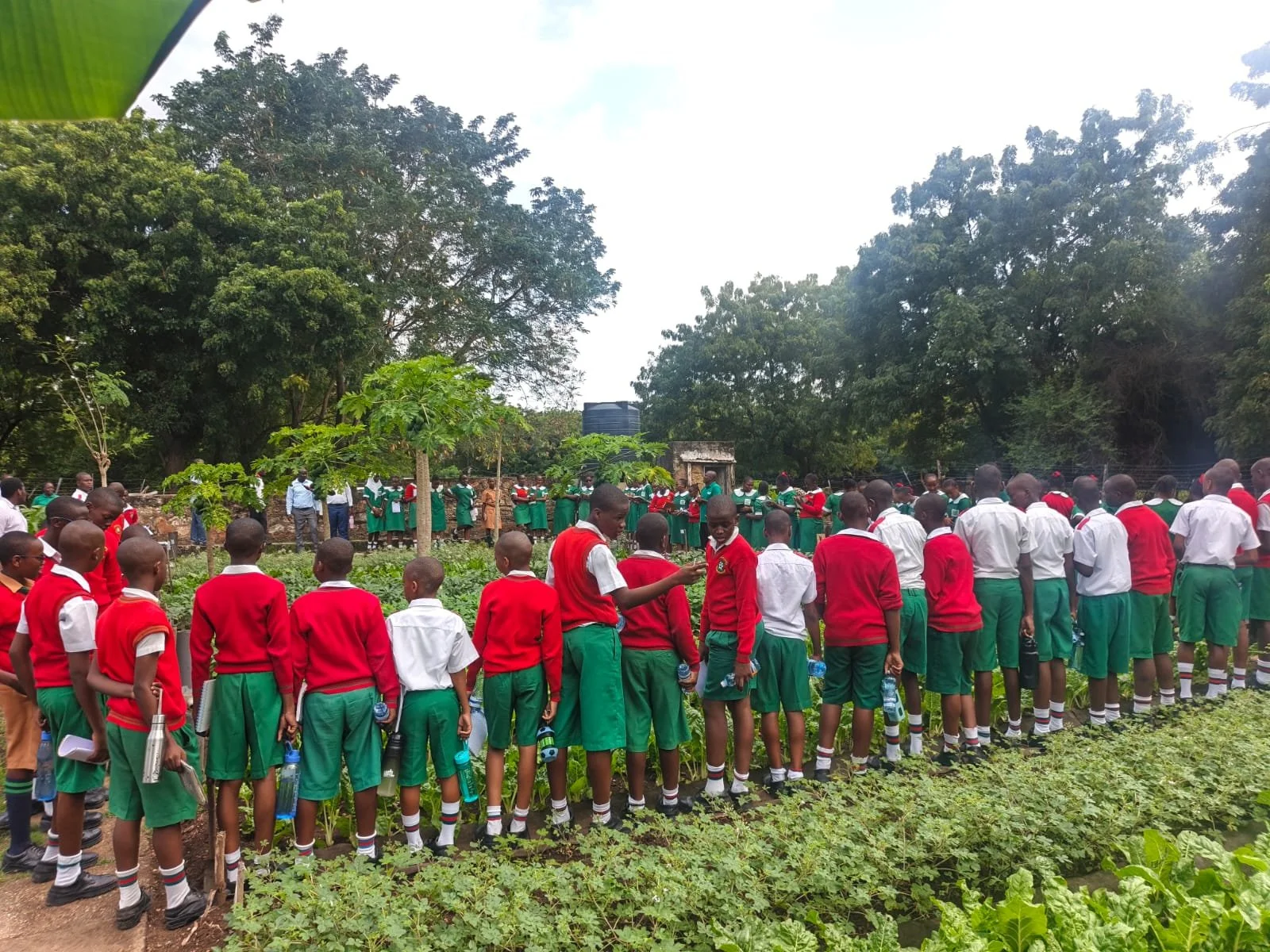 A Living Classroom: School Open Days at The Mtopanga Demonstration Farm