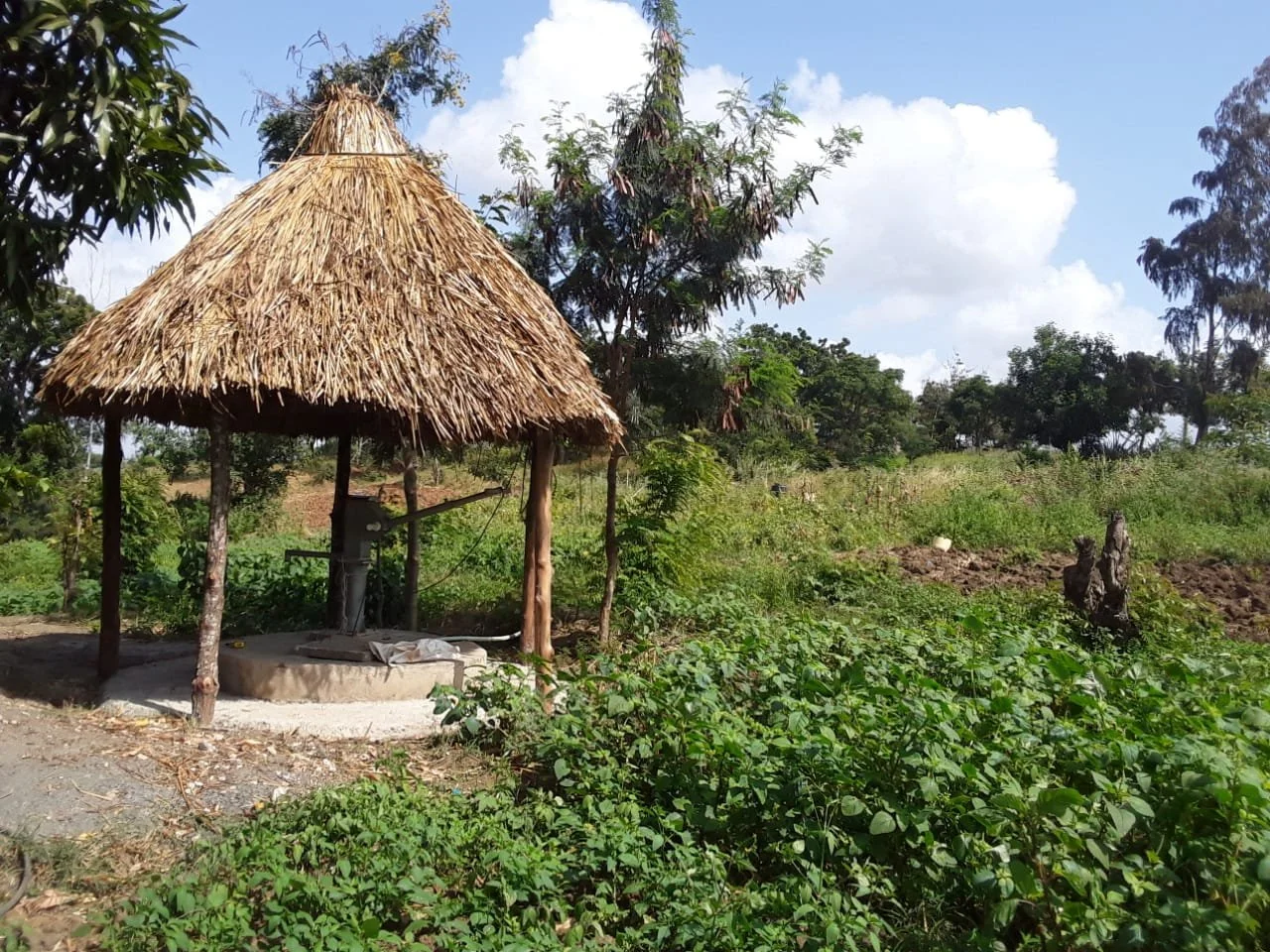 3.09._Tumaini_HP126_Shed Repair COMPLETE (1).jpg