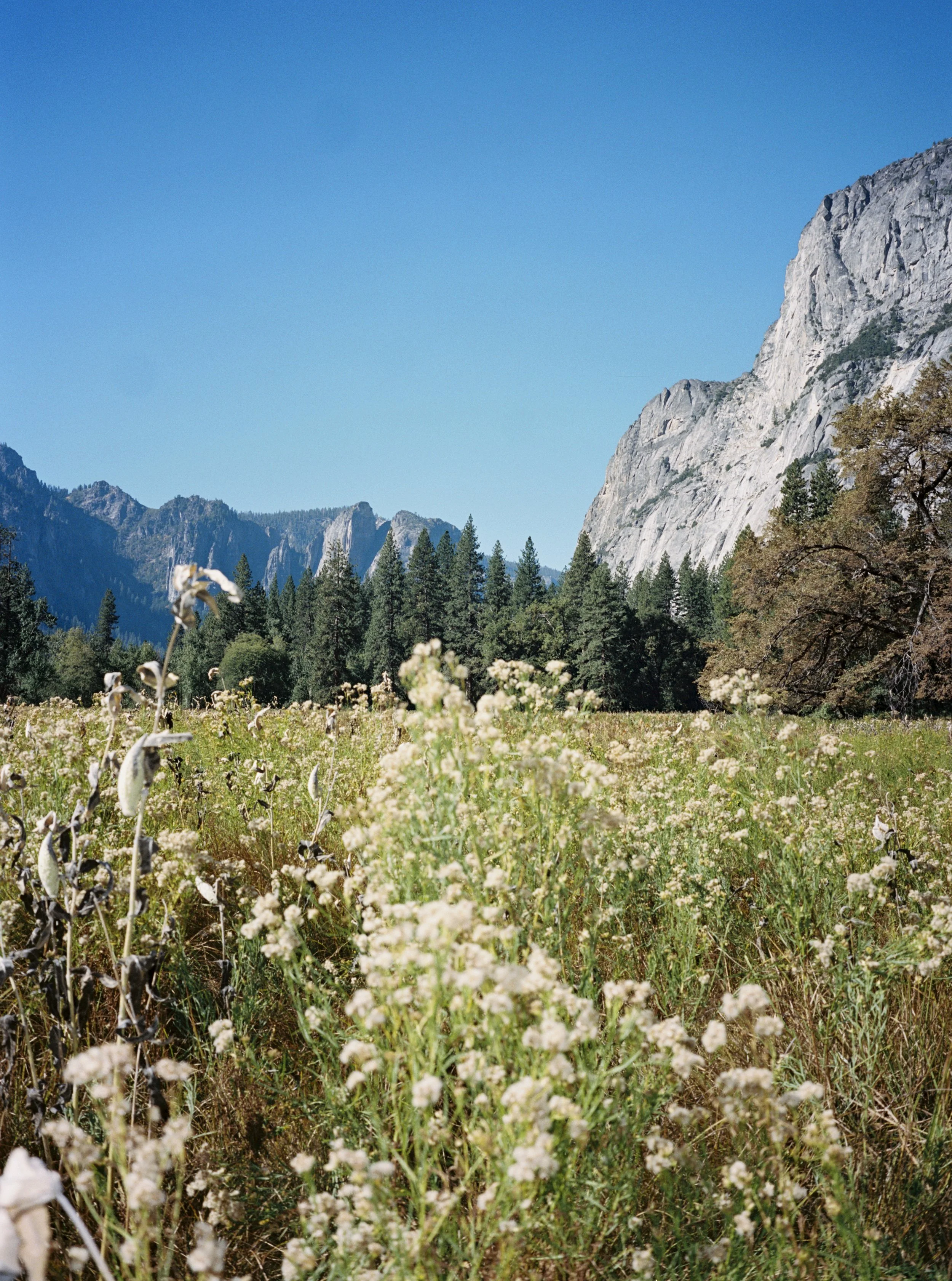2024_FACELIFT_FILM_19.jpg