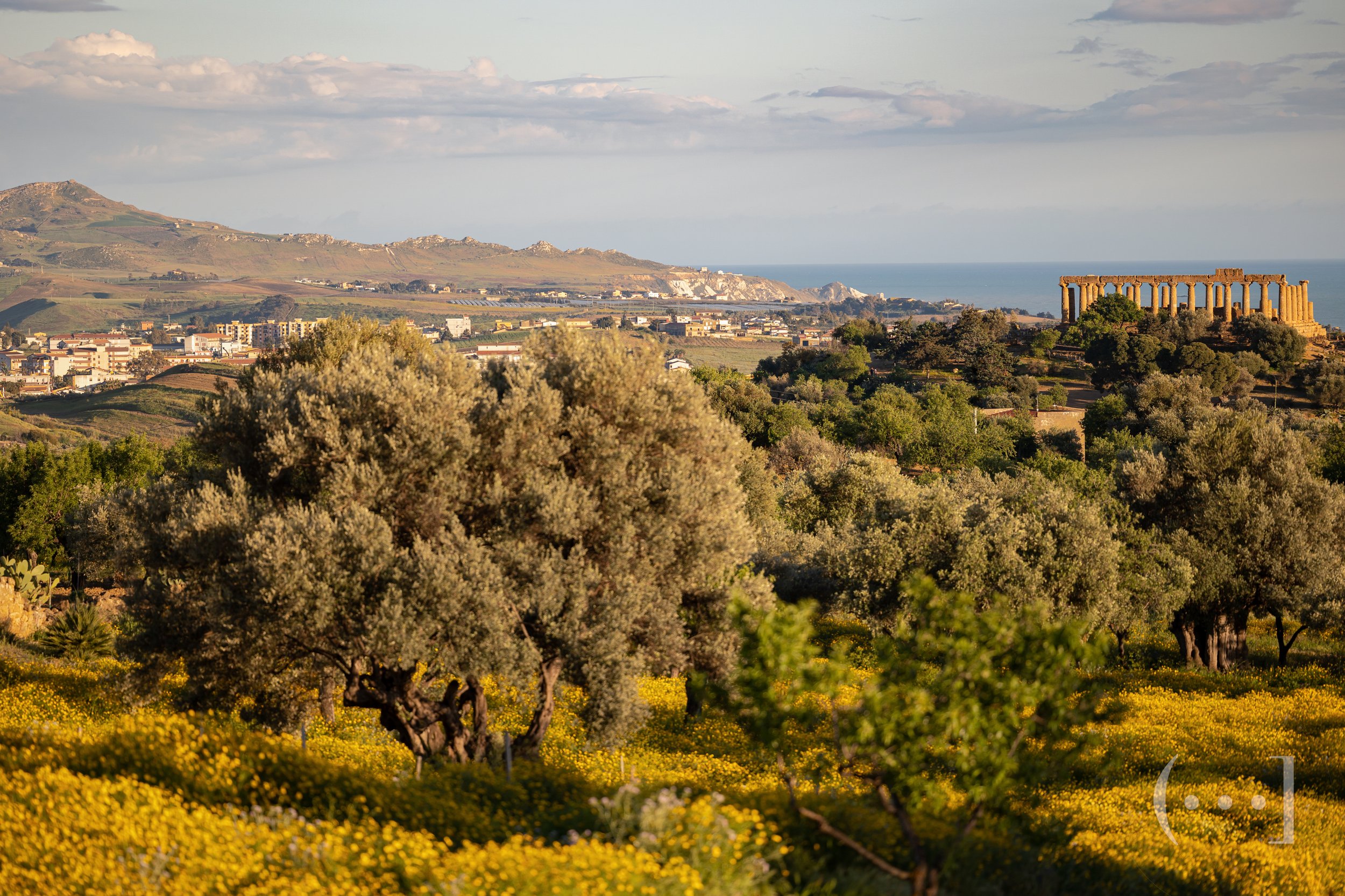 The Vally of Temples, surrounded in 'olivia secolare', ancient olive trees