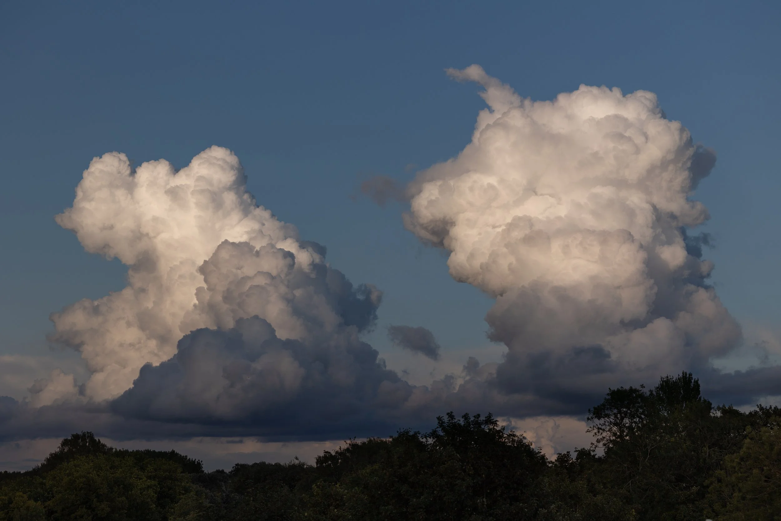 A pair of Cumulonimbus clouds