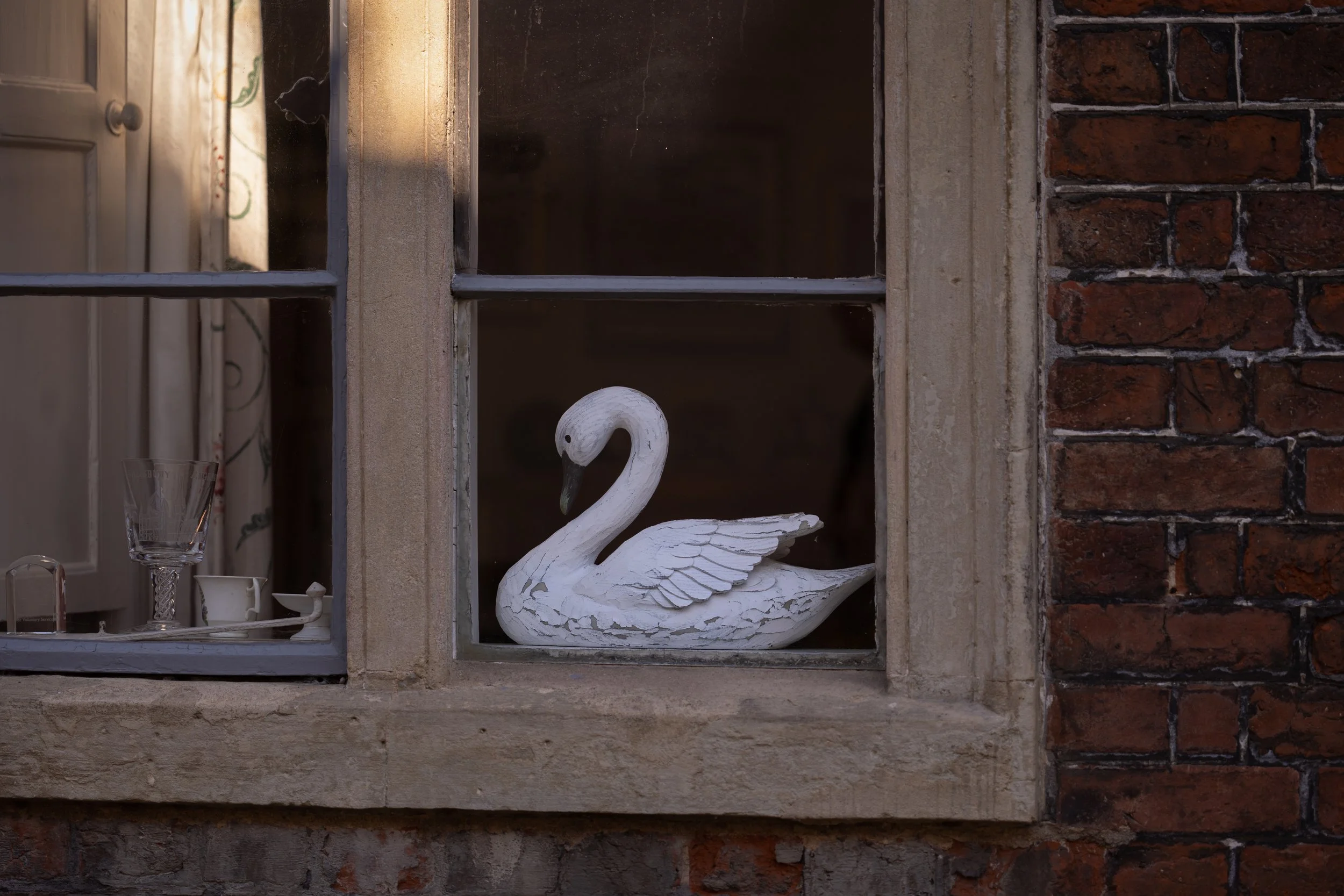 Window swan