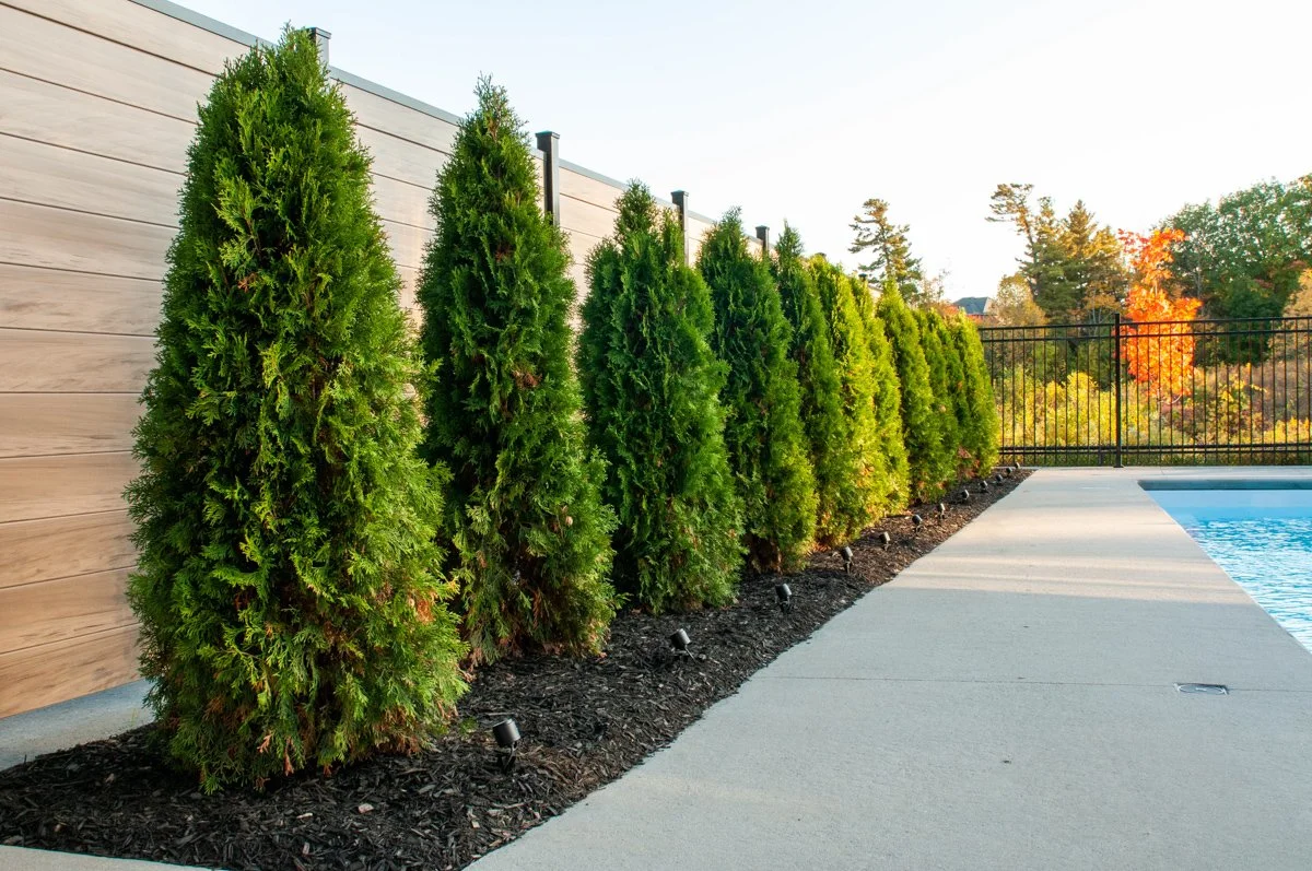 RS Landscape Construction residential yard-16.jpg