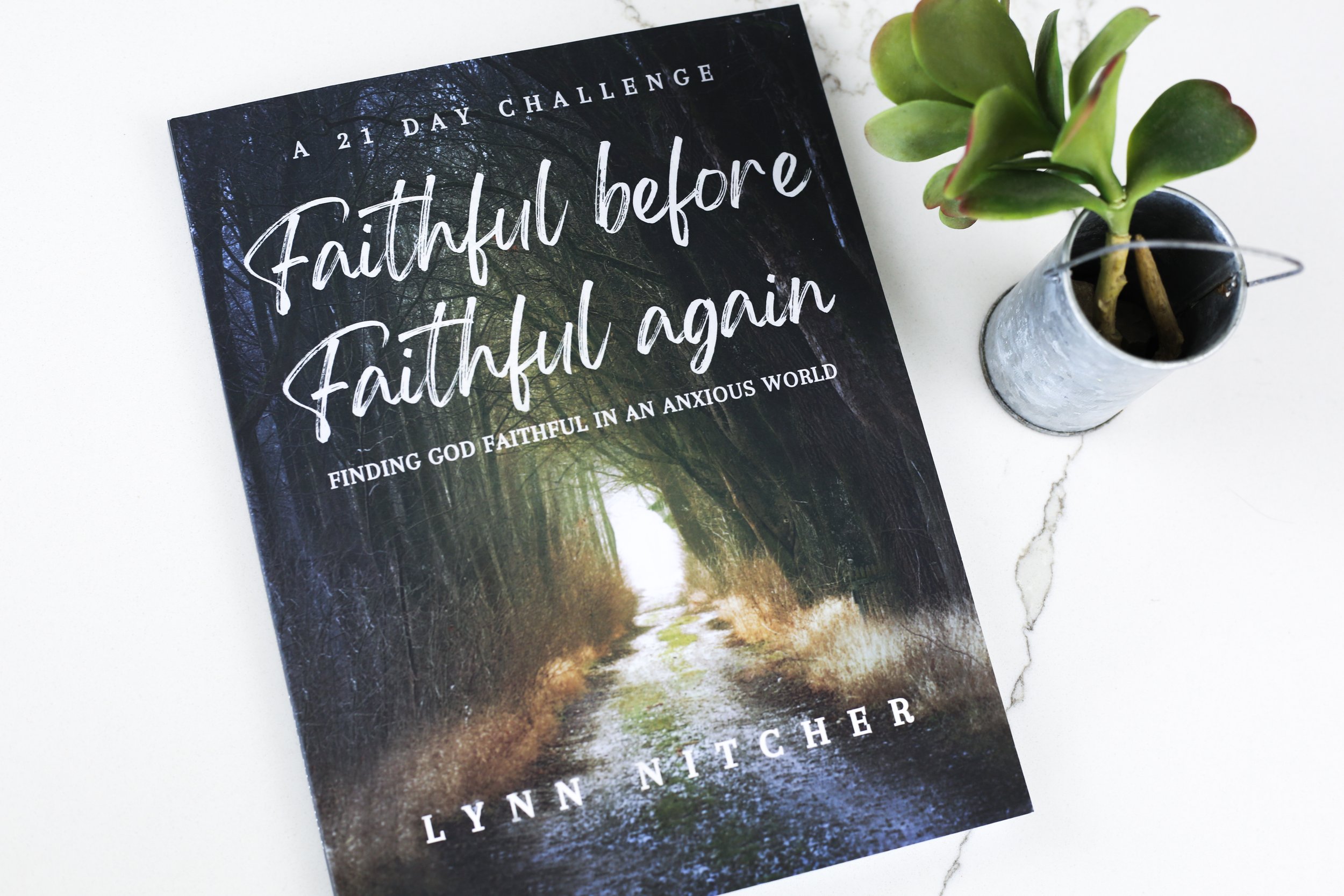 Book: Faithful Before Faithful Again