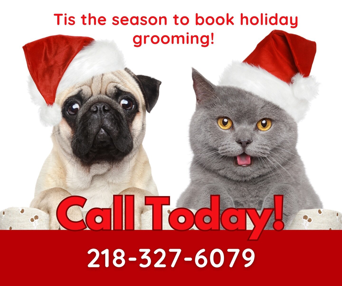 Have the most fabulous looking pet this holiday season! 💅 Slots are already filling up fast so be sure to get your appointment on the books 📖 We groom both dogs and cats 🐾