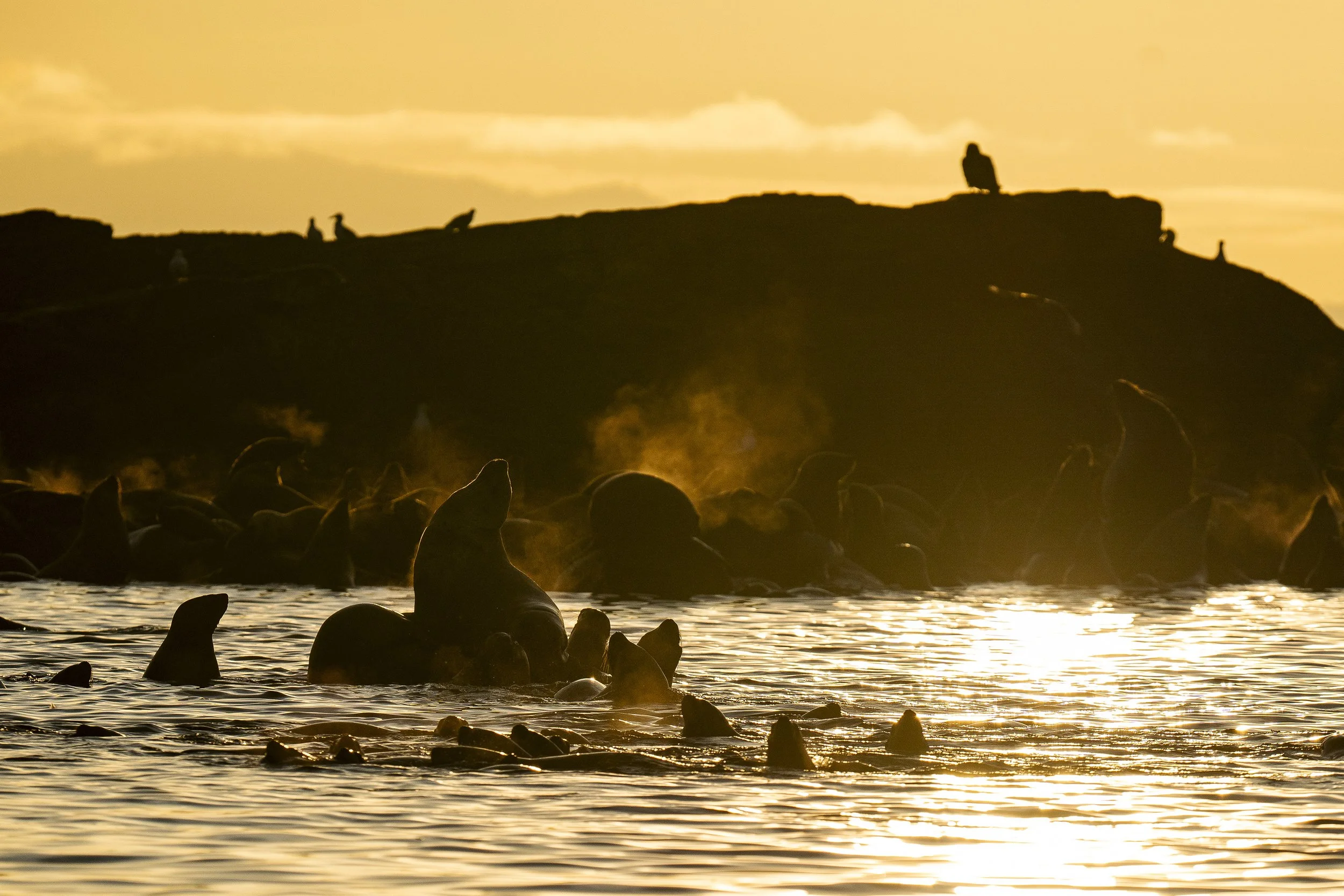 698f96e0ed55548618dc20a8_6871f54455180fc605433930_Copy of Fitzpatrick_Christie_April-Herring-39 (1).jpg