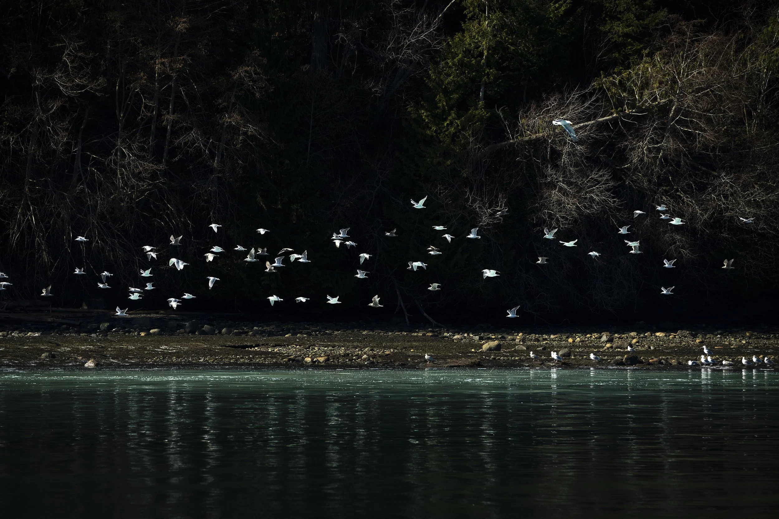 688056c7892a7a816d4be212_Copy of Fitzpatrick_Christie_April-Herring-69 (1).jpg