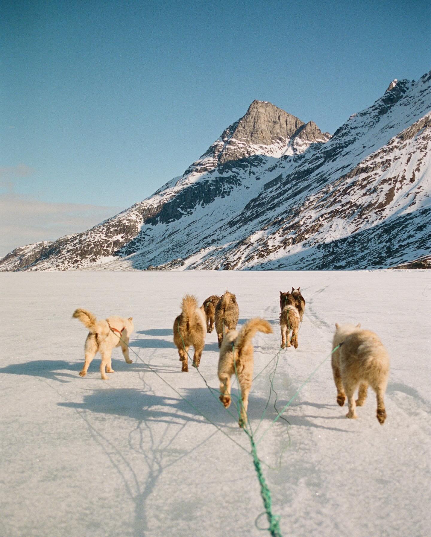 some #35mm film from #greenland.
