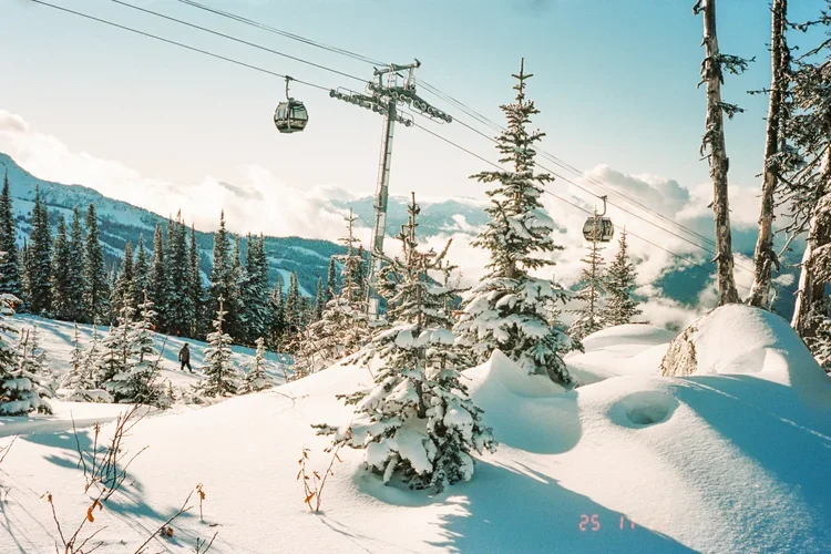 69011de1f57c91085d8845b2_GnarstieFilm-1-3 (1).webp