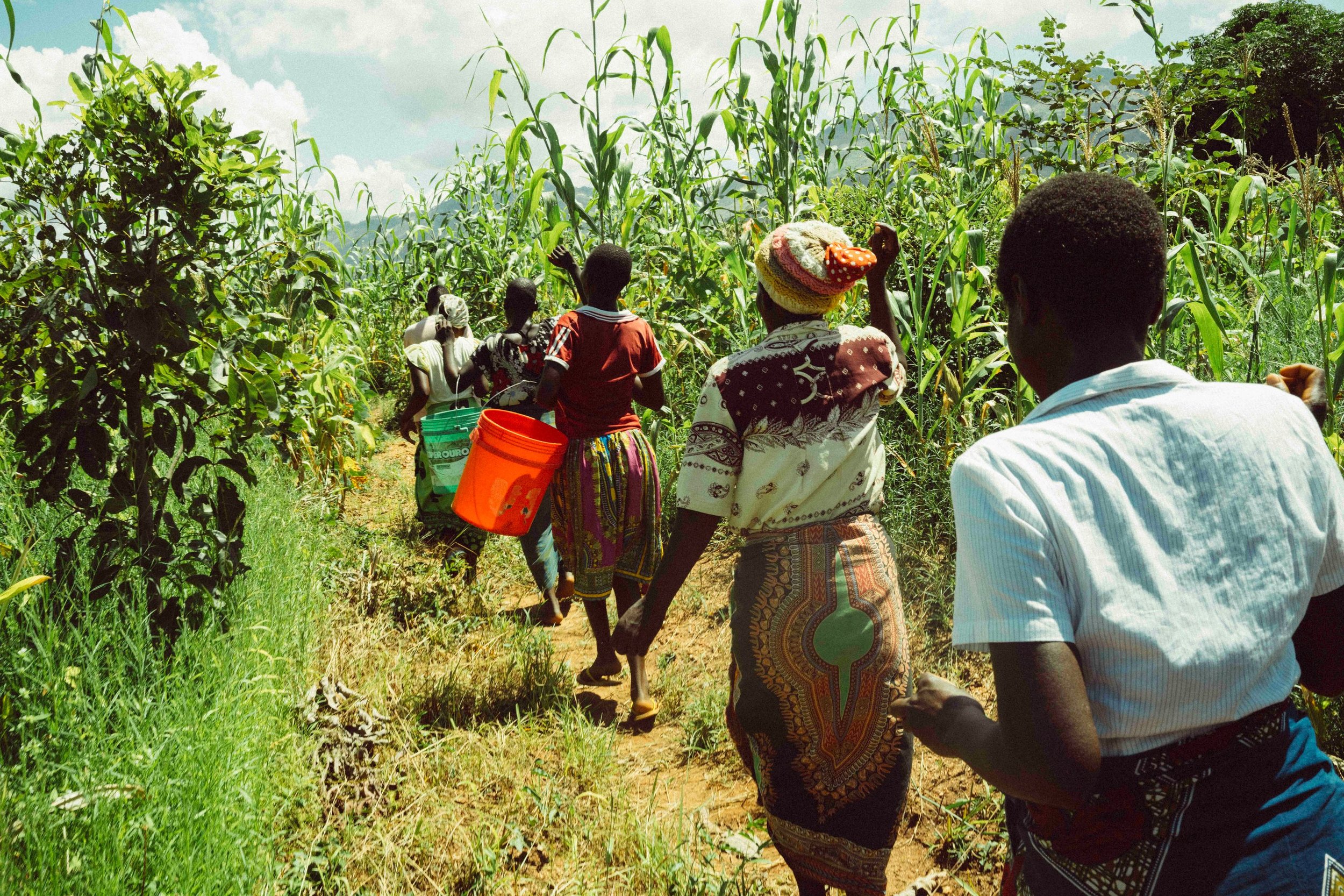 69699e0ae80068fe86855ab0_CFMalawiWorldVision-38-p-3200 (1).jpg