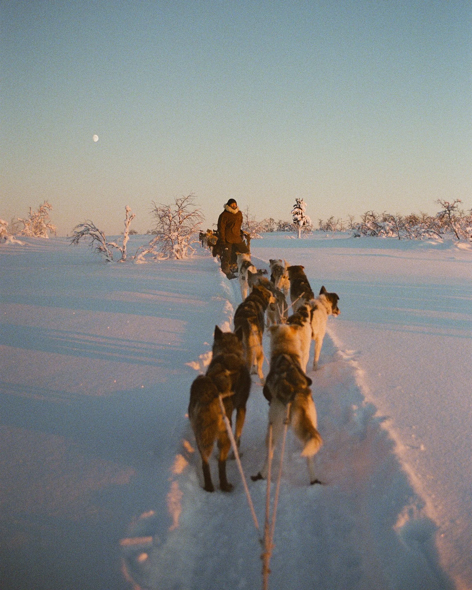 687203d8df78367eeae3ec58_Copy of Fitzpatrick_Christie_StMoritz-Grace-1(1).jpg