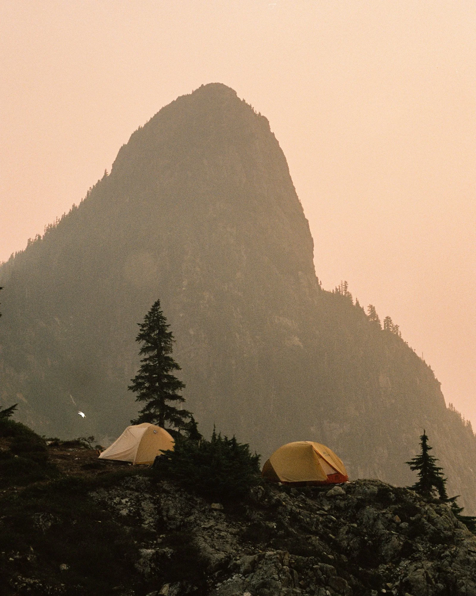 698f92e4bad90e7b49b1be6e_6871f71de740983f6ef56b30_gnarstie-1-21 (1).jpg