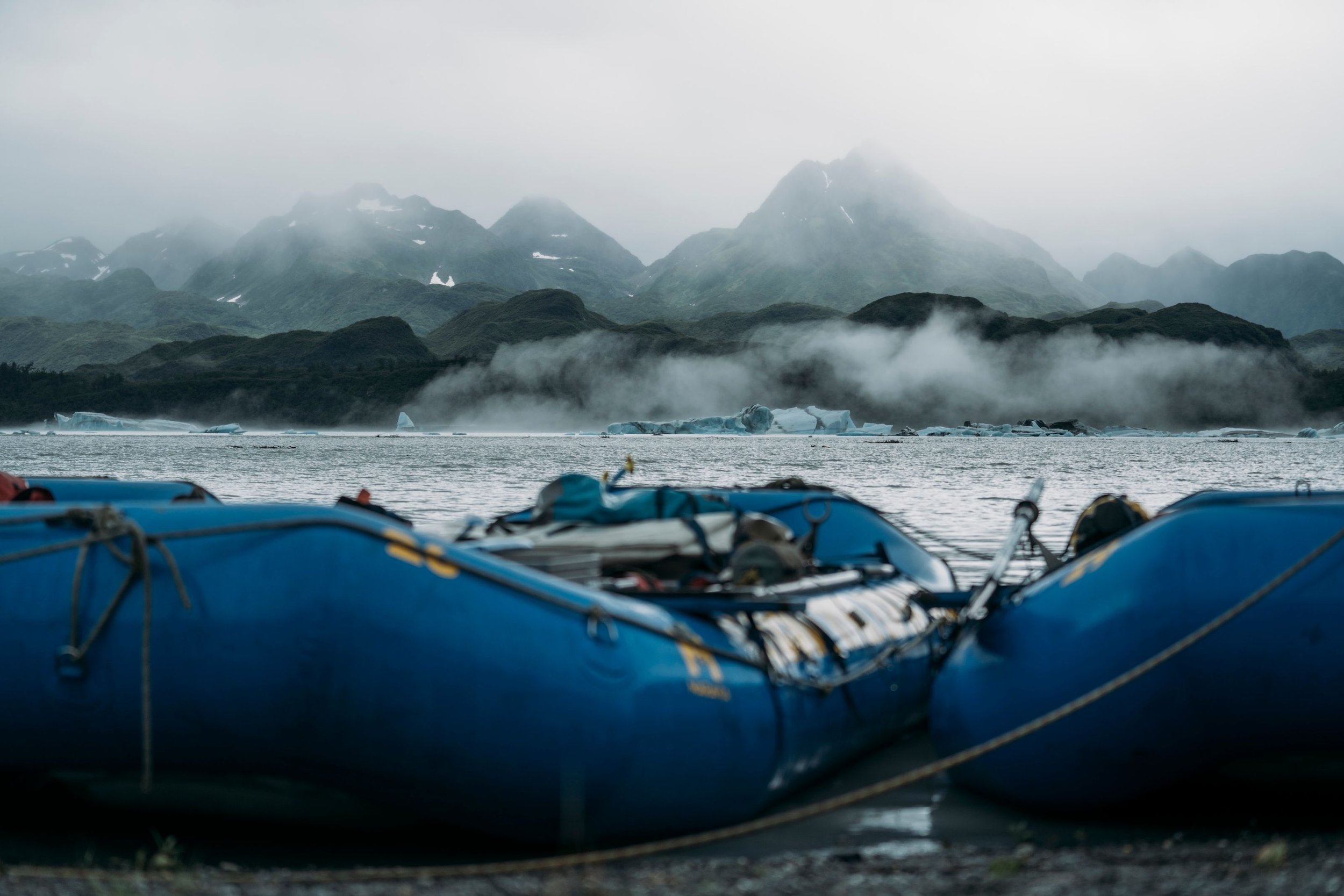 6969a2376c6389756c6f333a_TatAlsek_Christie_Fitzpatrick-02628-p-3200 (1).jpg