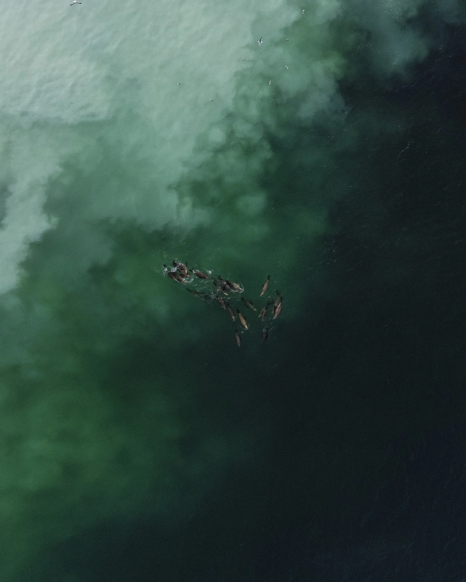 6871f5a5e8c17297c0f5b01d_Copy of Fitzpatrick_Christie_April-Herring-53 (1).jpg