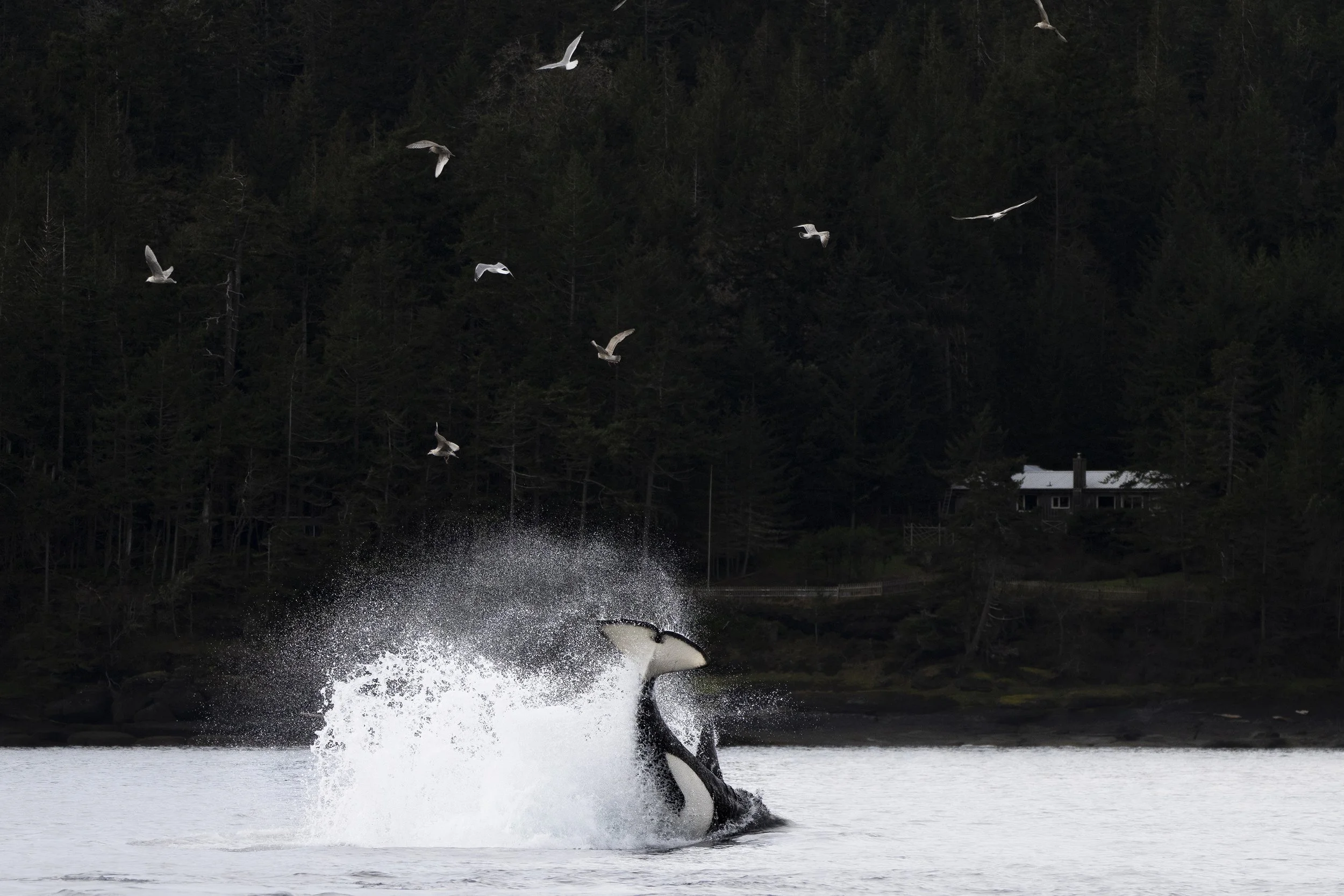 6871f595ff24406af92a399f_Copy of Fitzpatrick_Christie_April-Herring-21 (1).jpg