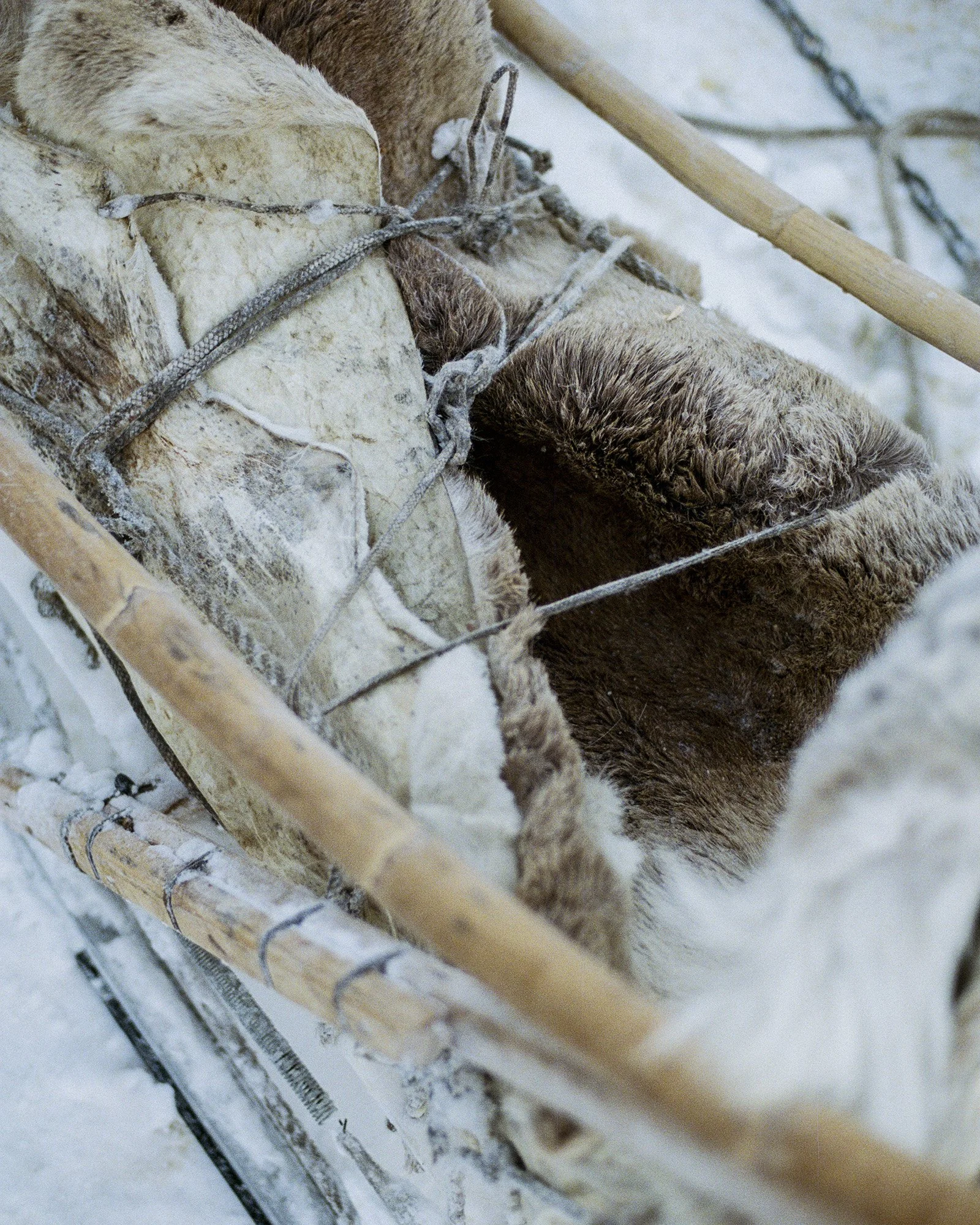 6872041851e99e1783abc51b_Copy of Fitzpatrick_Christie_StMoritz-Grace-3-2.jpg