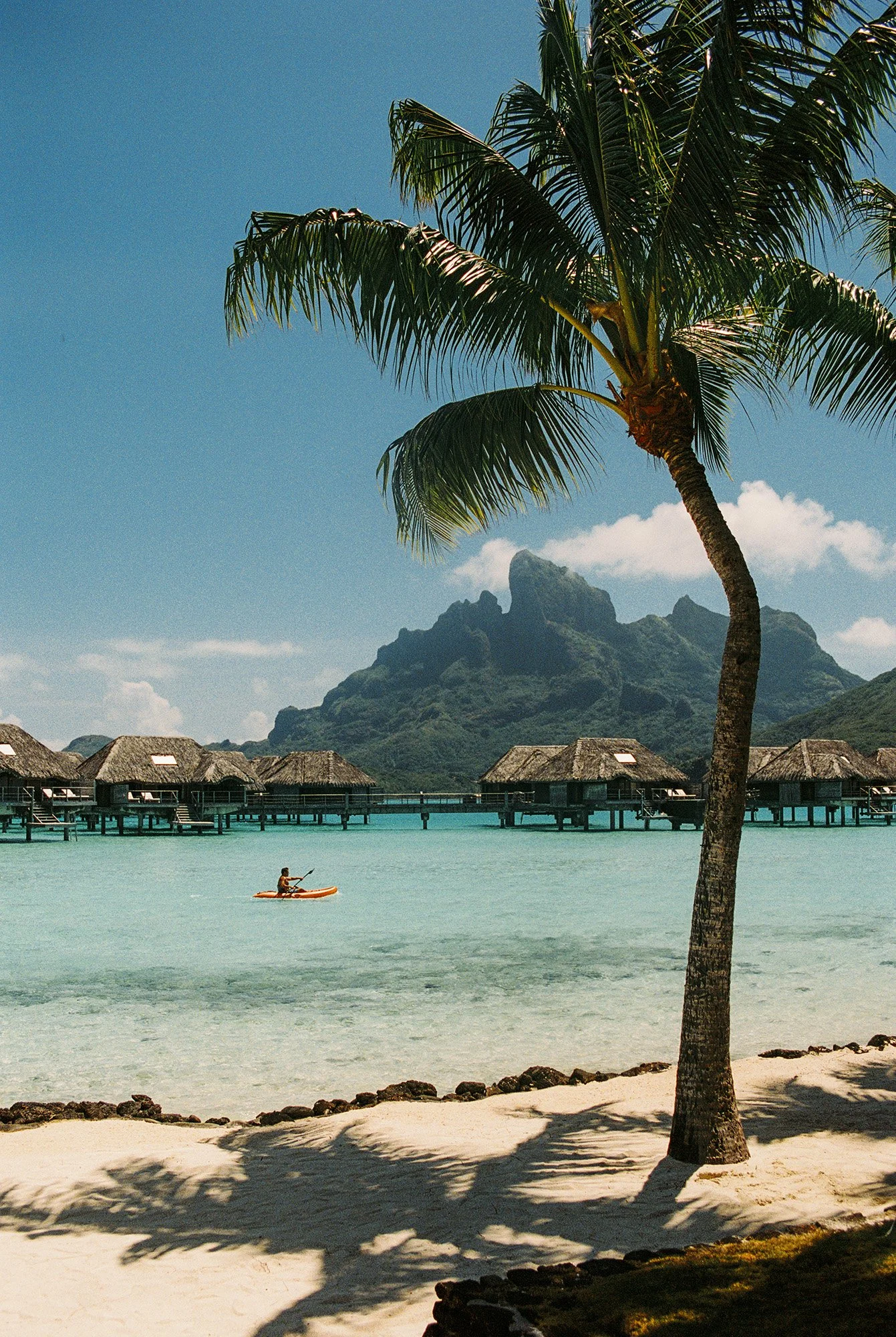 6871fb14022da951fdd7af2b_BoraBora24_Christie_Fitzpatrick_35mm-38.jpg