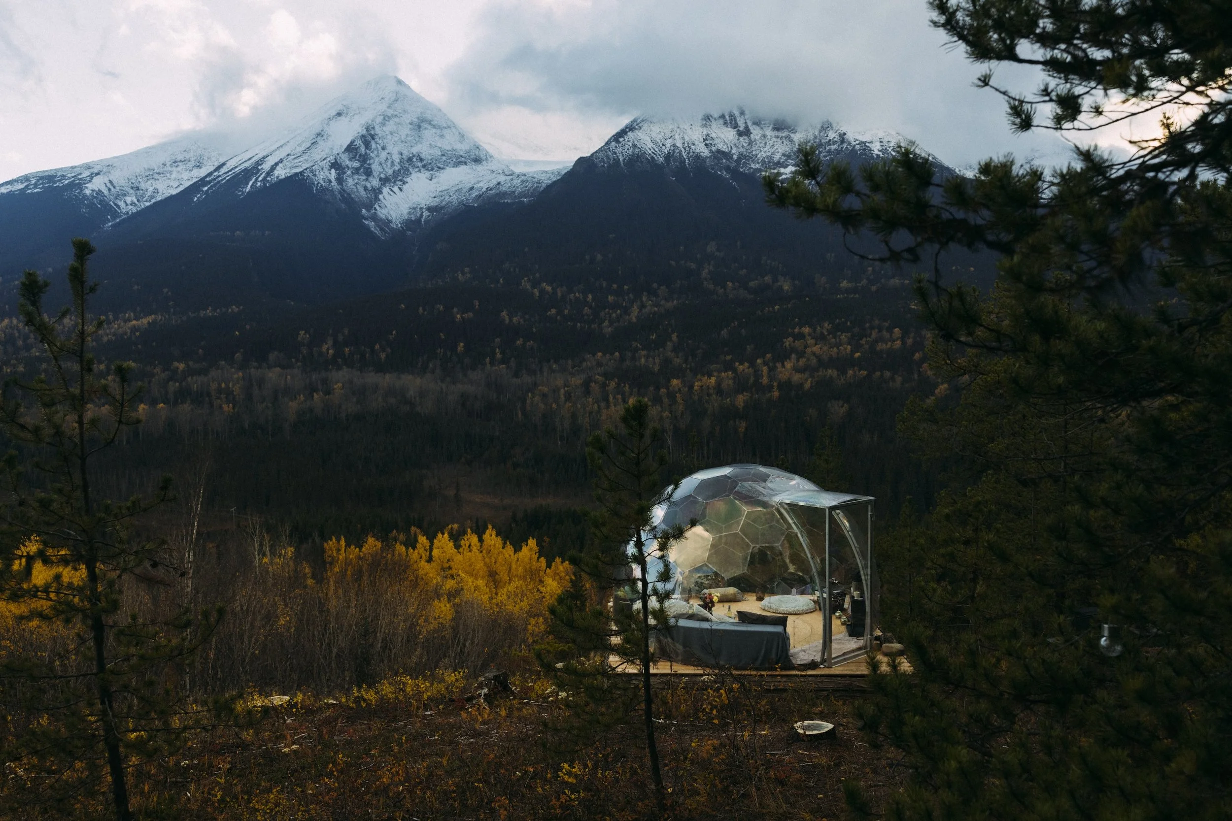 6969a38c225dfbf0f14638b0_CFSmithersOct25-85 (1).jpg