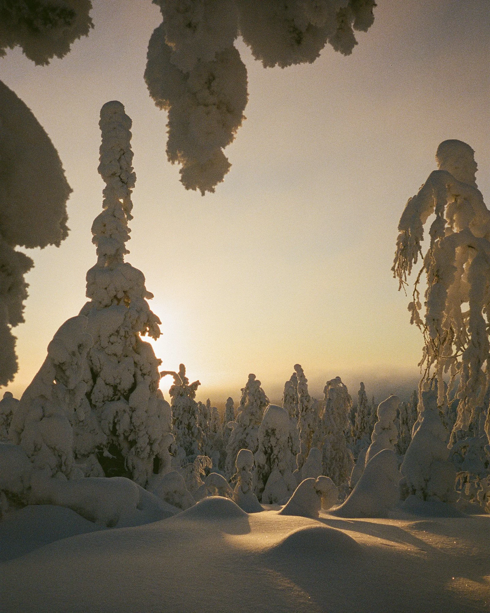 687203ec53f50f7f8d4bfcb0_Copy of Fitzpatrick_Christie_StMoritz-Grace-2(1).jpg