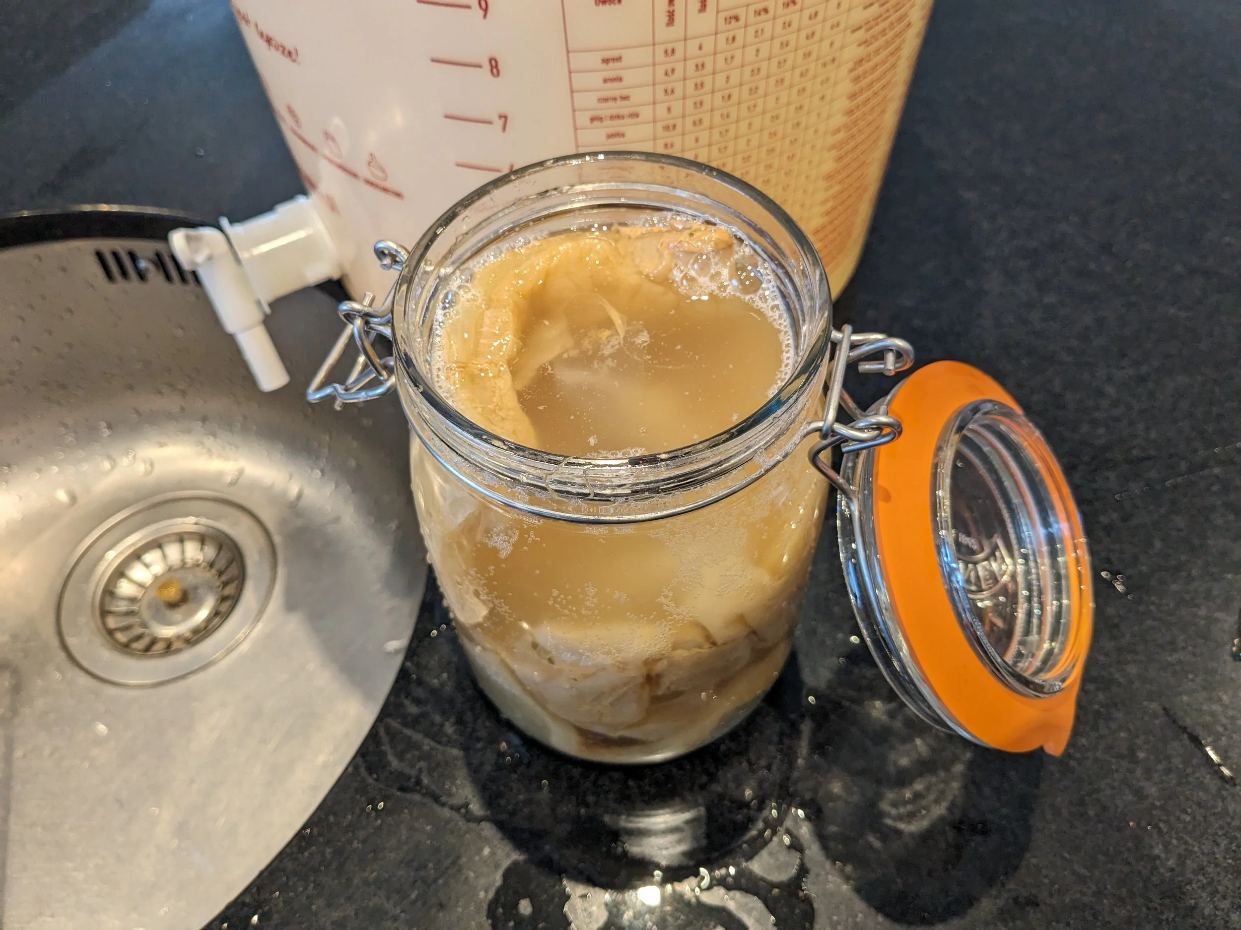 How To Make Kombucha A Beginner s Guide Hello Gut Health How To Make Kombucha A Beginner s Guide Hello Gut Health